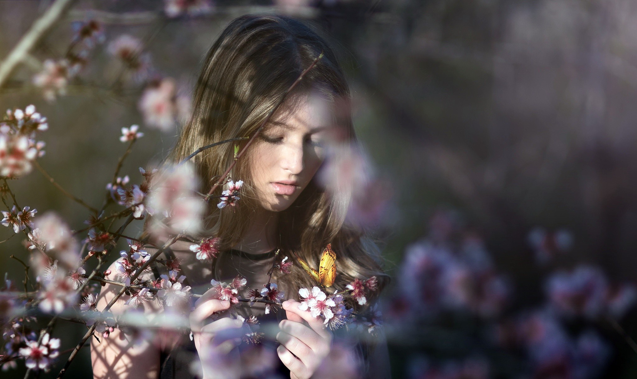 Young woman with butterfly among blooming flowers HD Wallpaper
