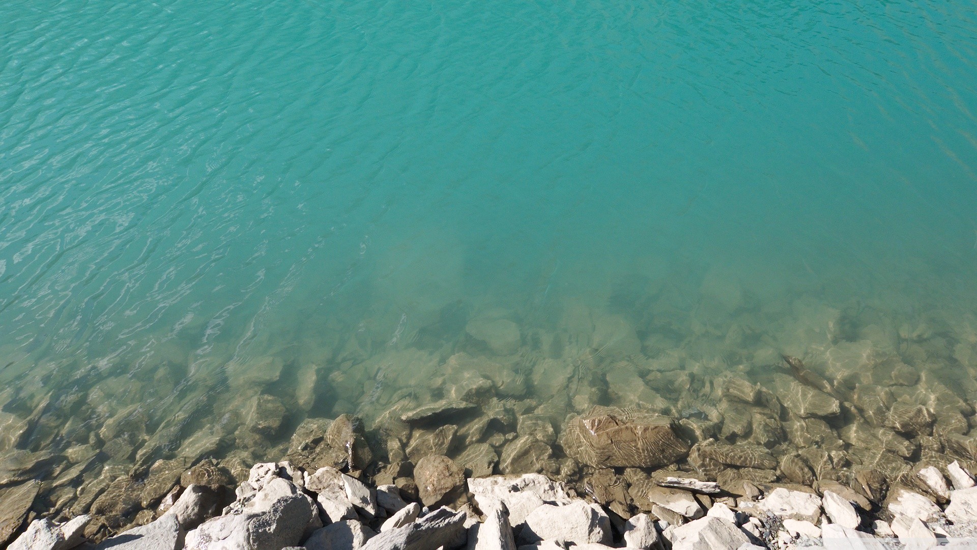 Turquoise water with rocks on the shore HD Wallpaper