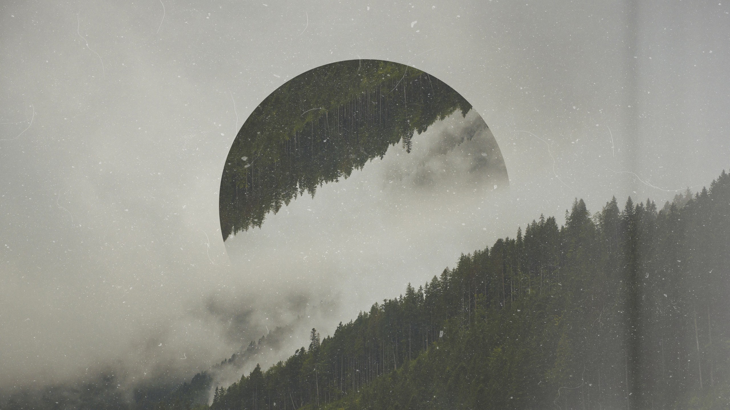 Circle over misty forest HD Wallpaper