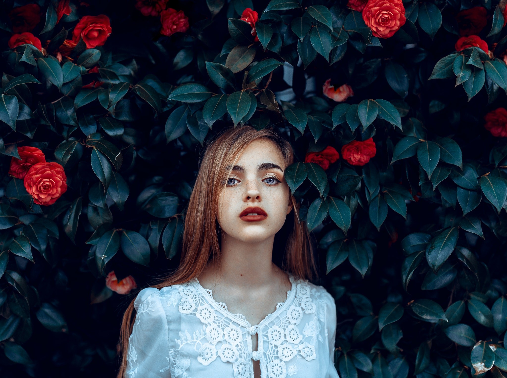 Portrait of Tiana Licastro with red roses HD Wallpaper