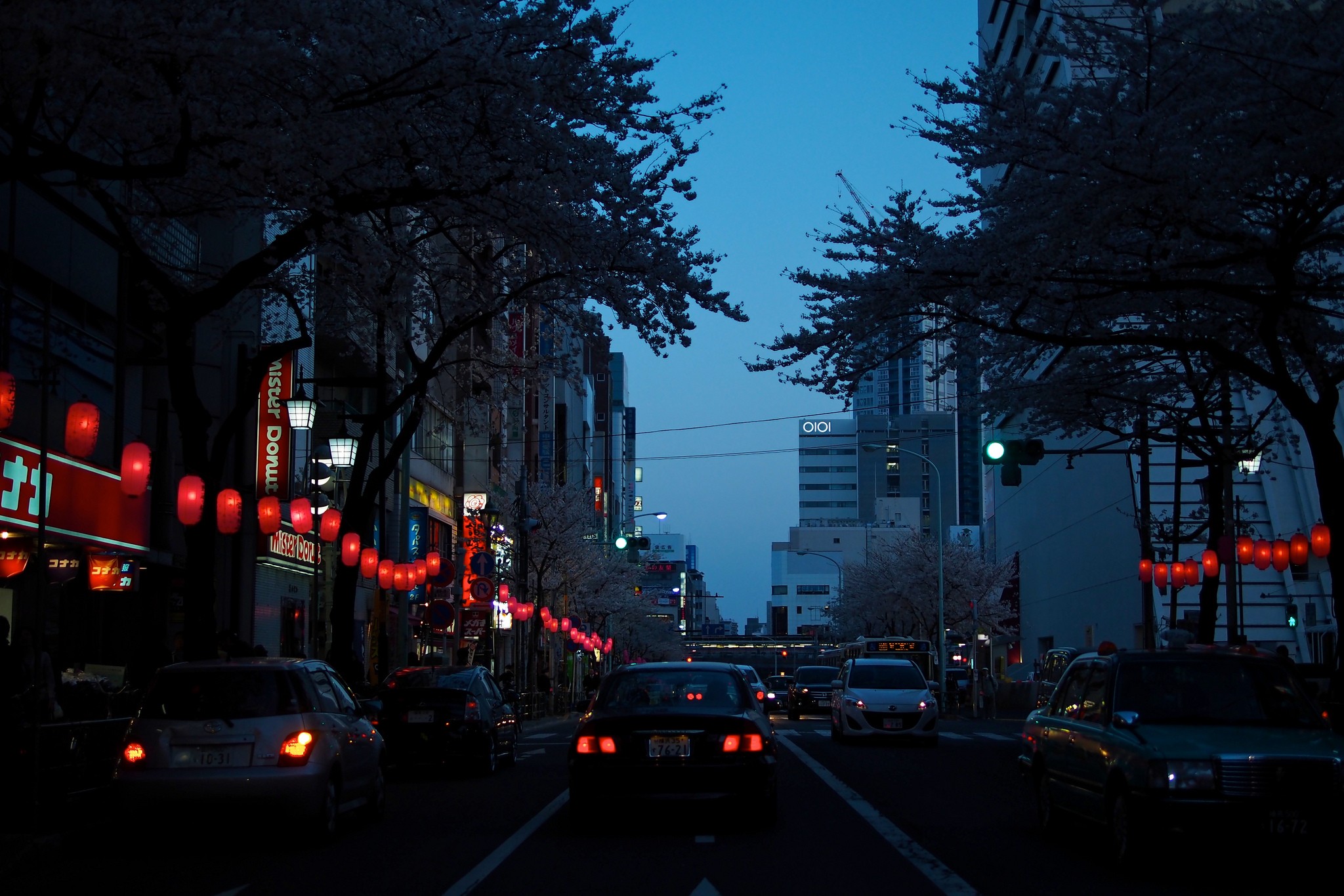 Street at night with cherry blossoms and red lanterns HD Wallpaper