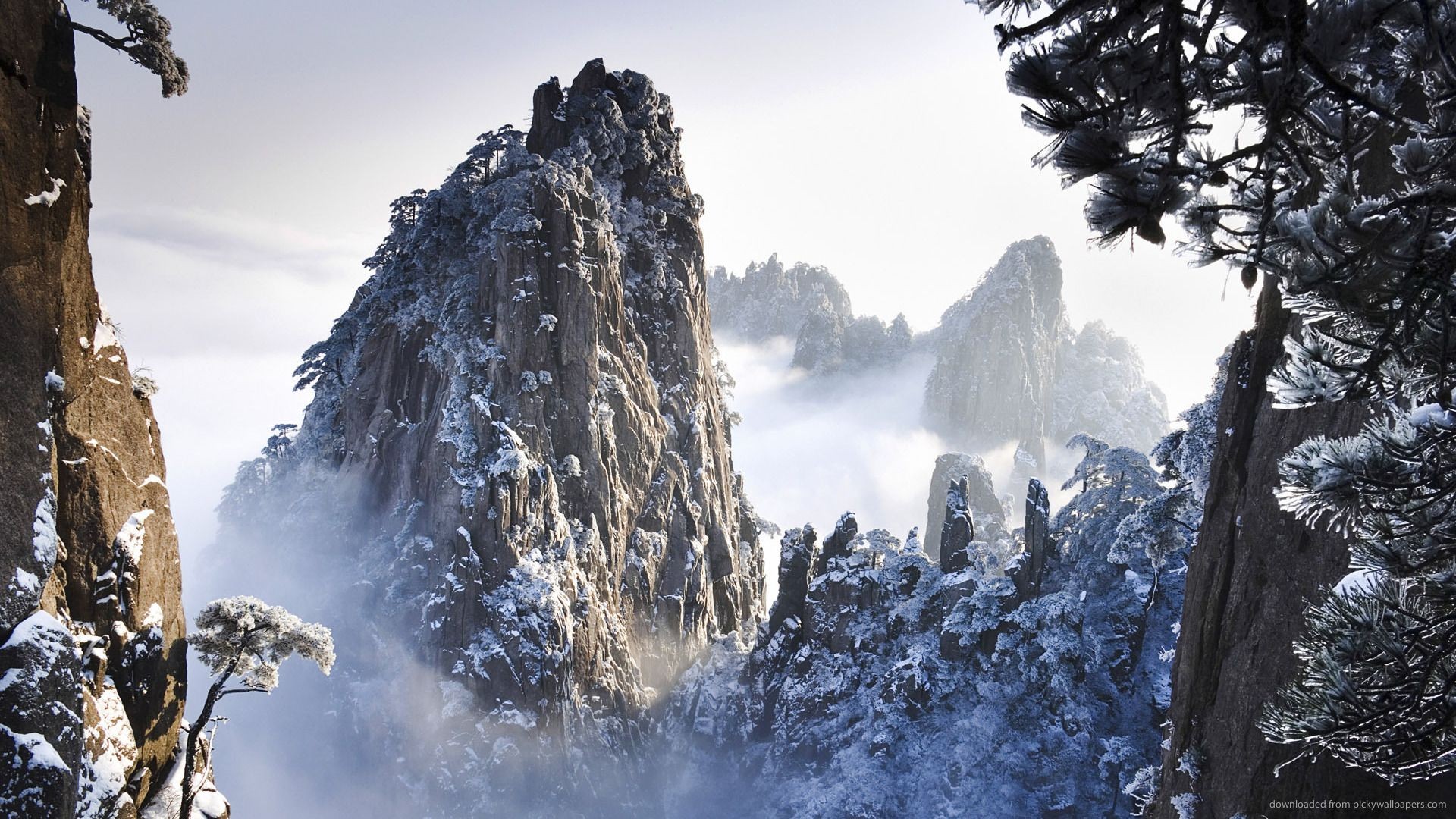 Snow-covered mountains with mist and pine trees HD Wallpaper