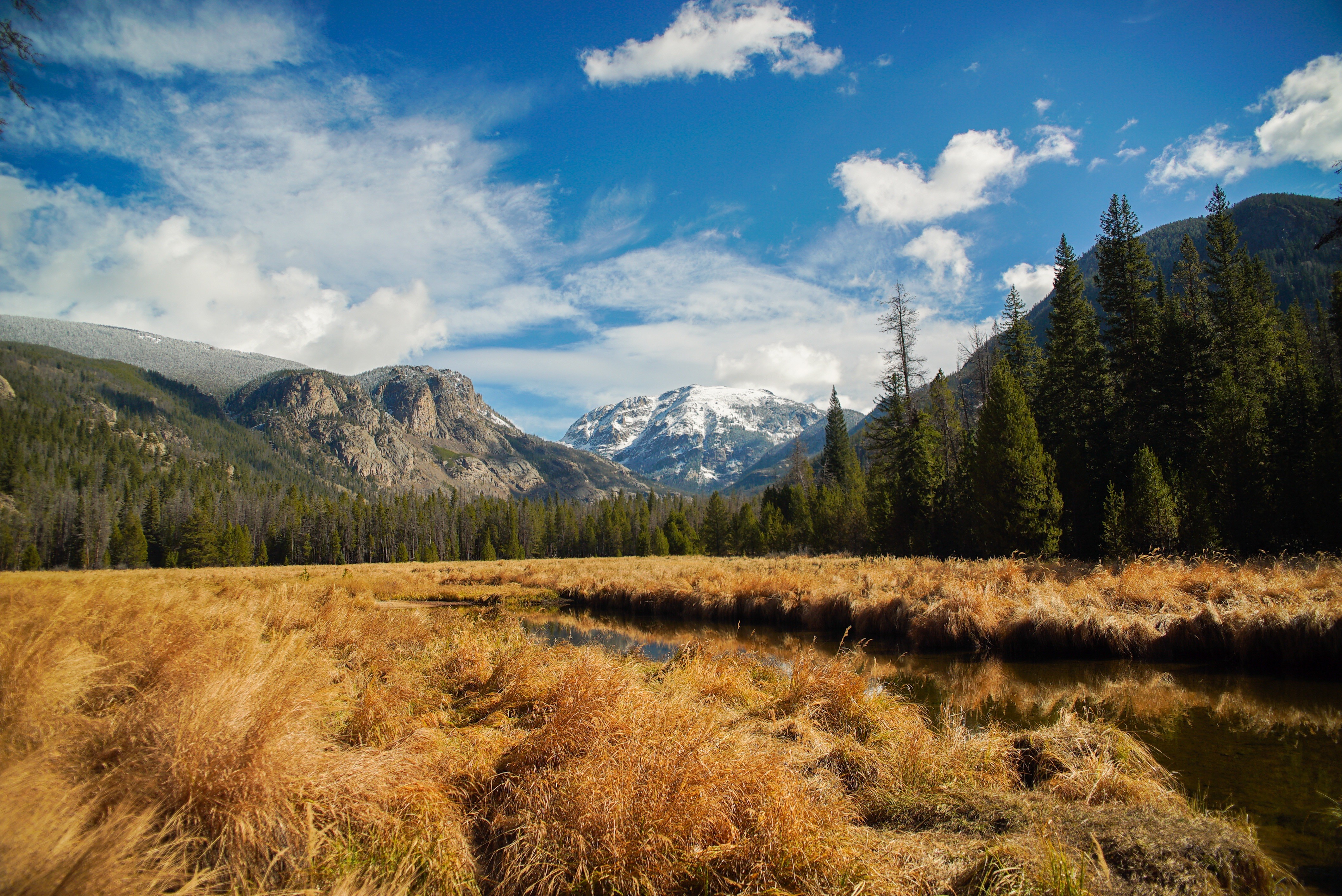 Mountains and a golden meadow with a stream HD Wallpaper