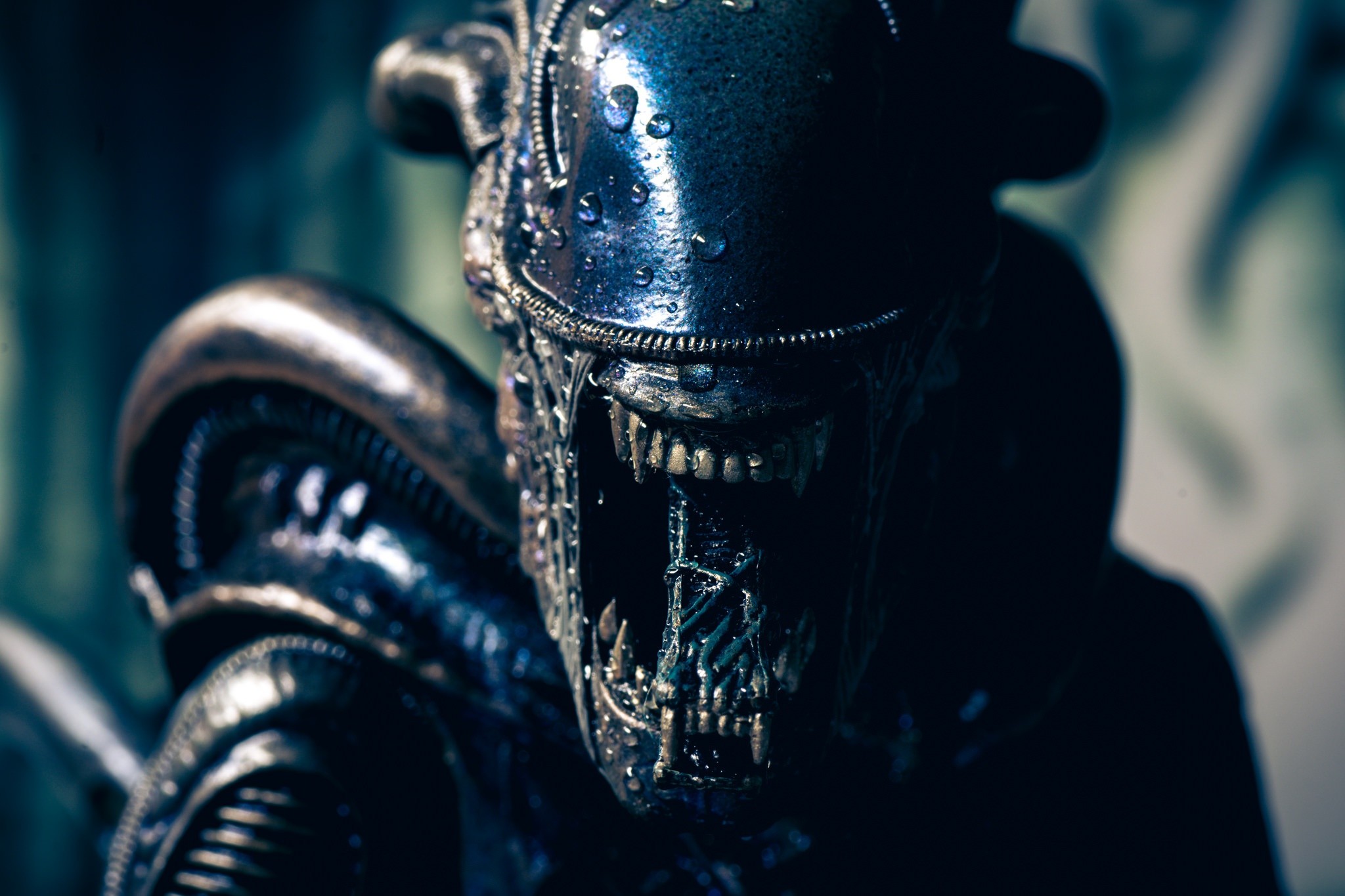 Xenomorph from Alien movie toy HD Wallpaper