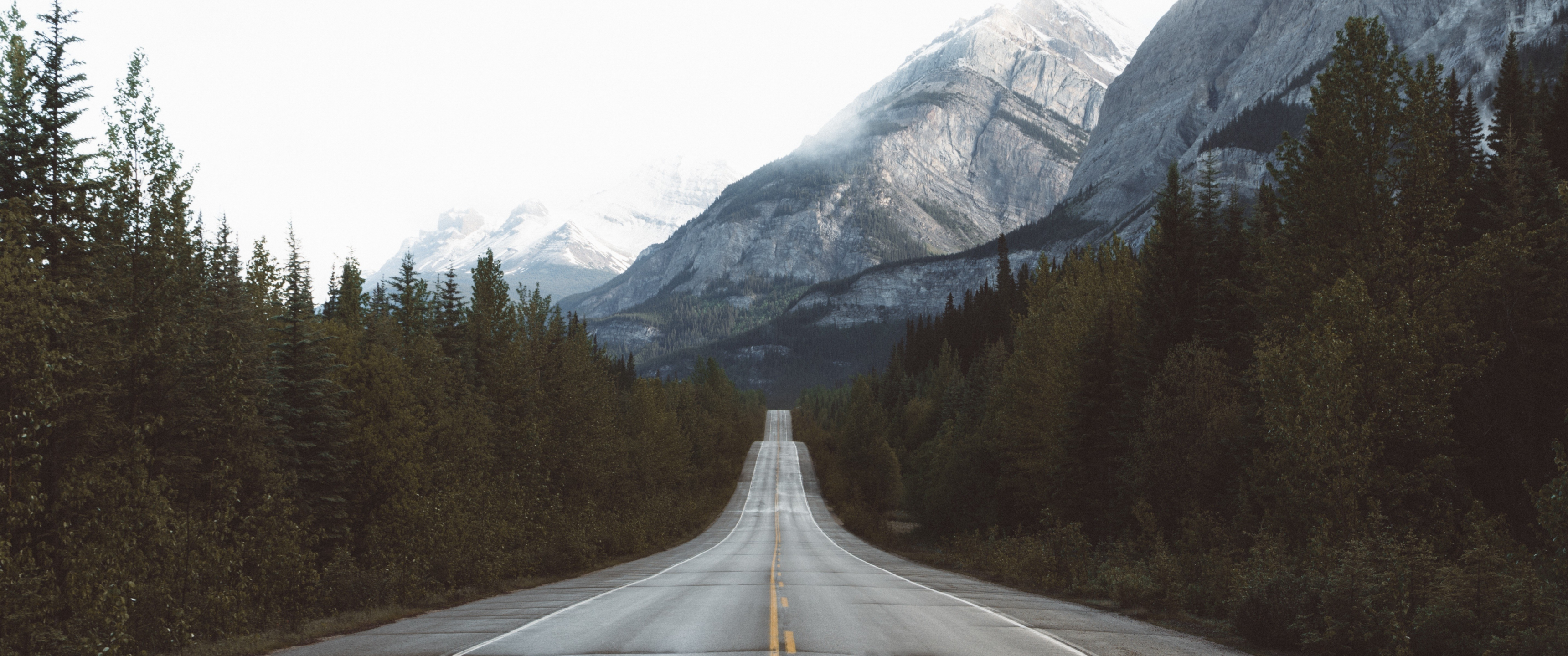 Road through a forest towards snow-capped mountains HD Wallpaper