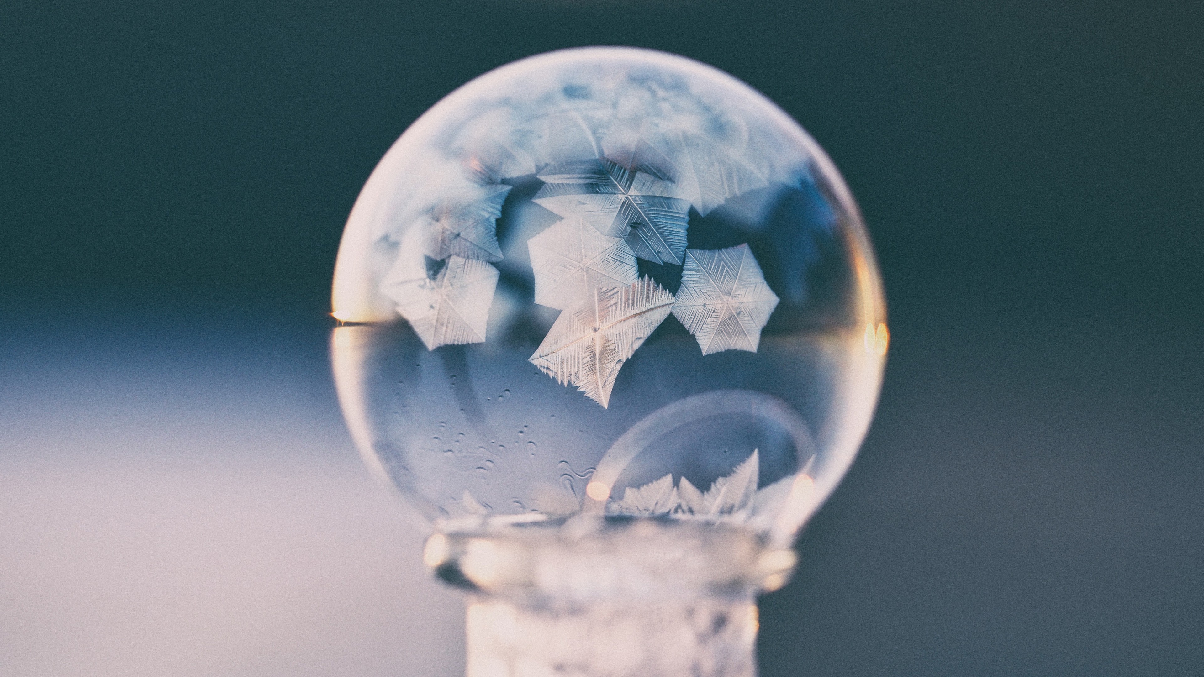 Frozen bubble with ice crystals HD Wallpaper