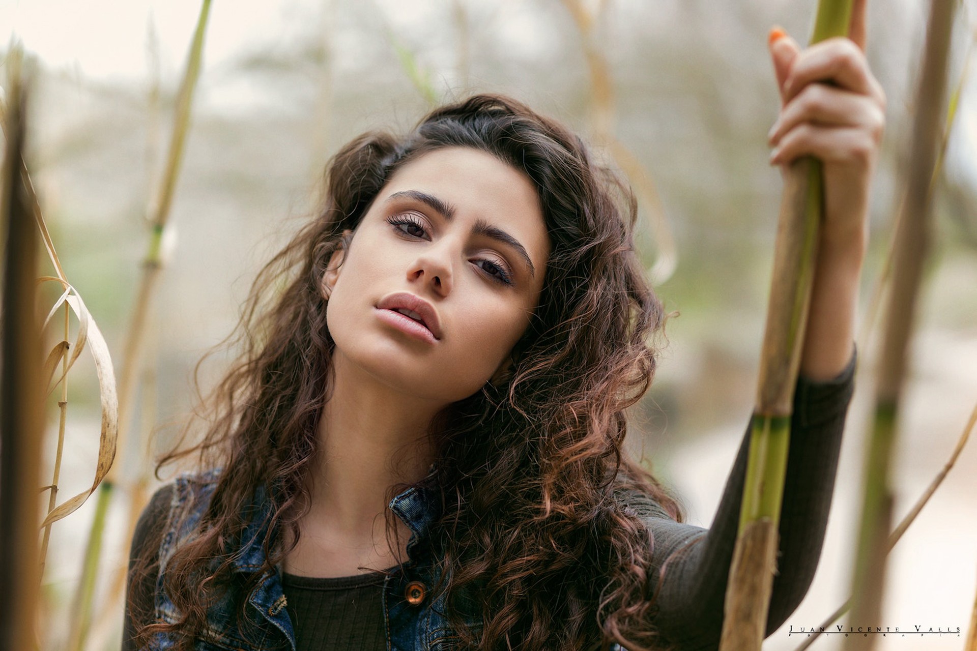 Woman with curly hair holding a bamboo stalk HD Wallpaper