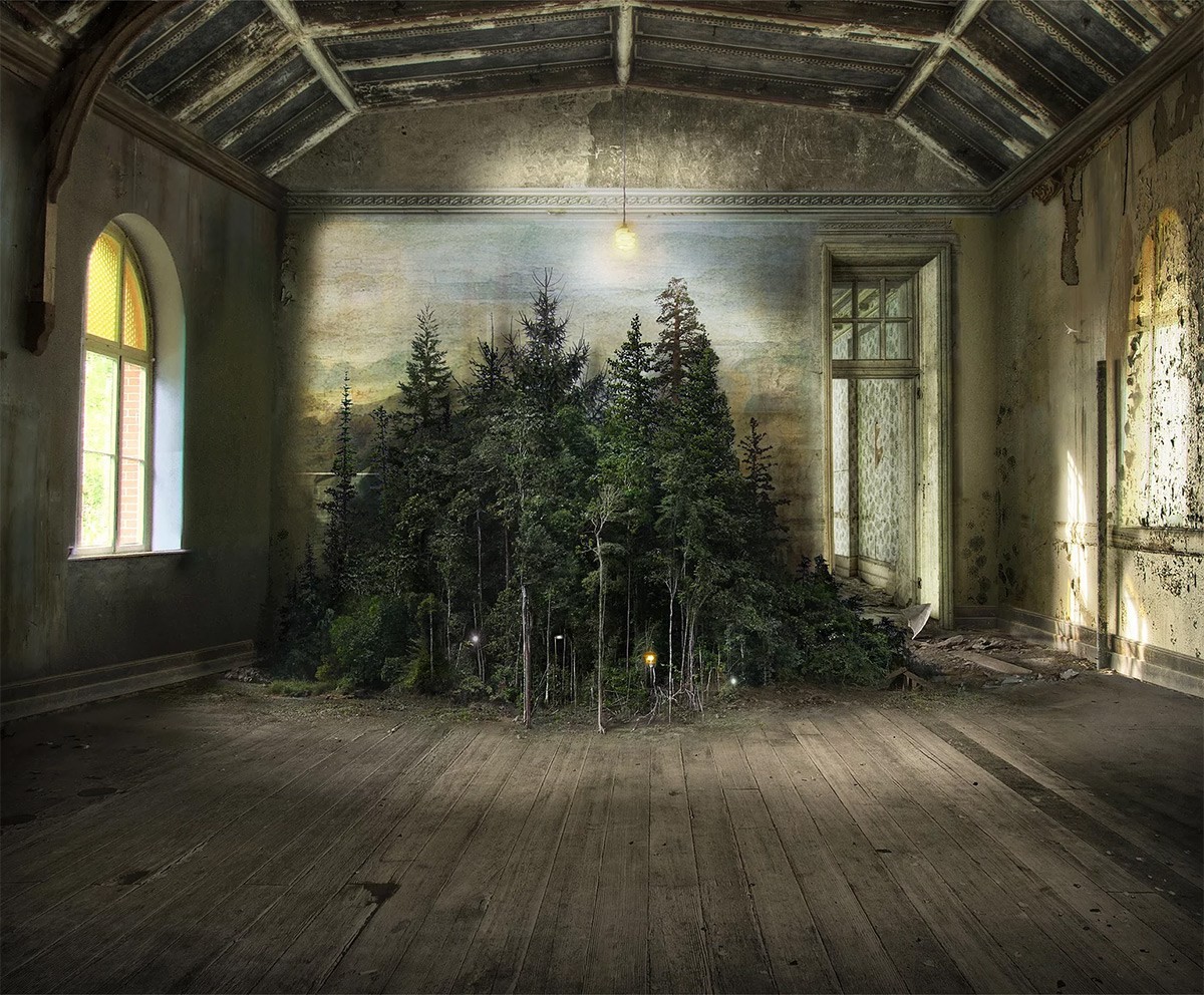 Abandoned room with forest mural and trees HD Wallpaper