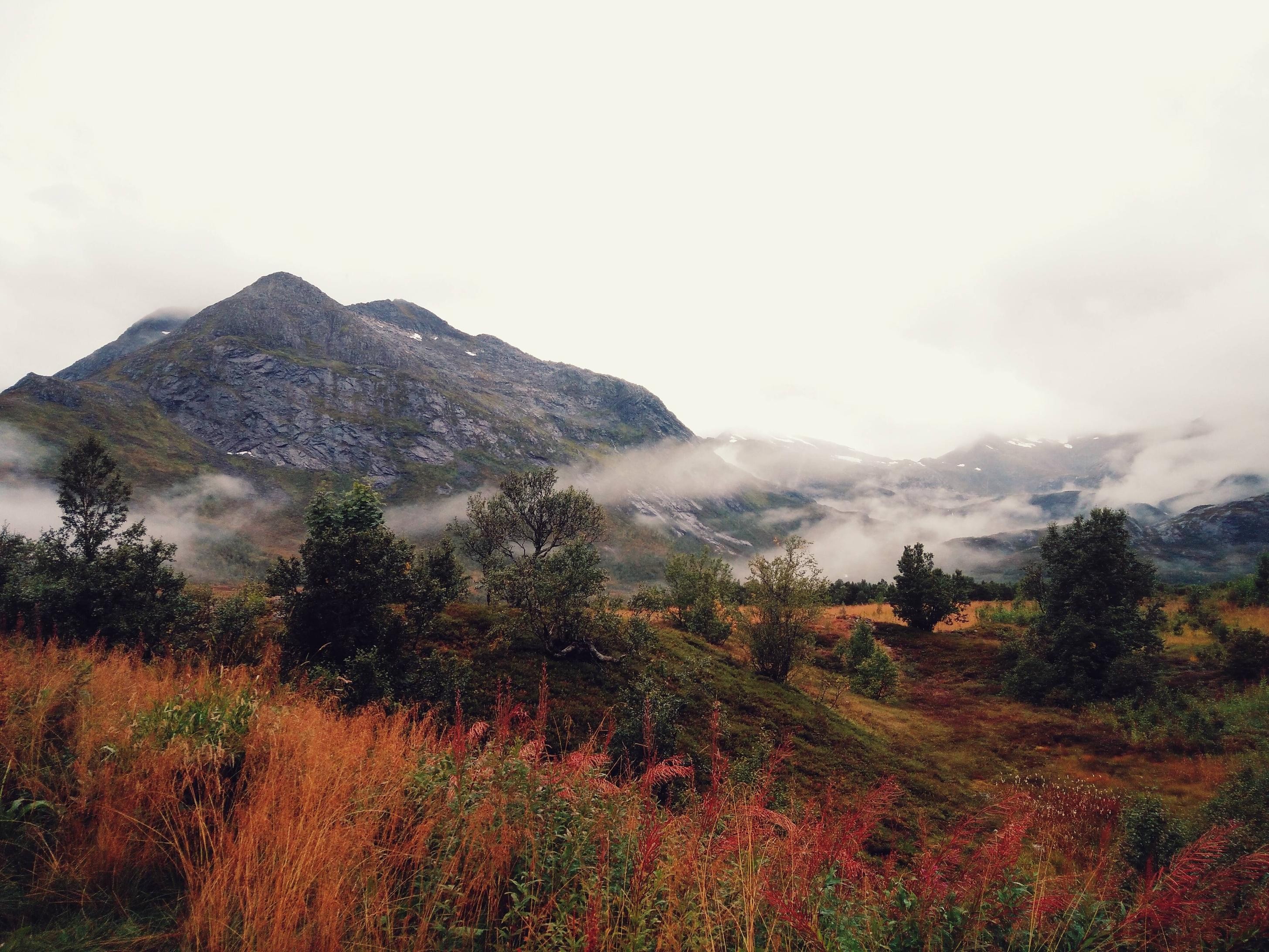 Misty mountains and autumn foliage landscape HD Wallpaper