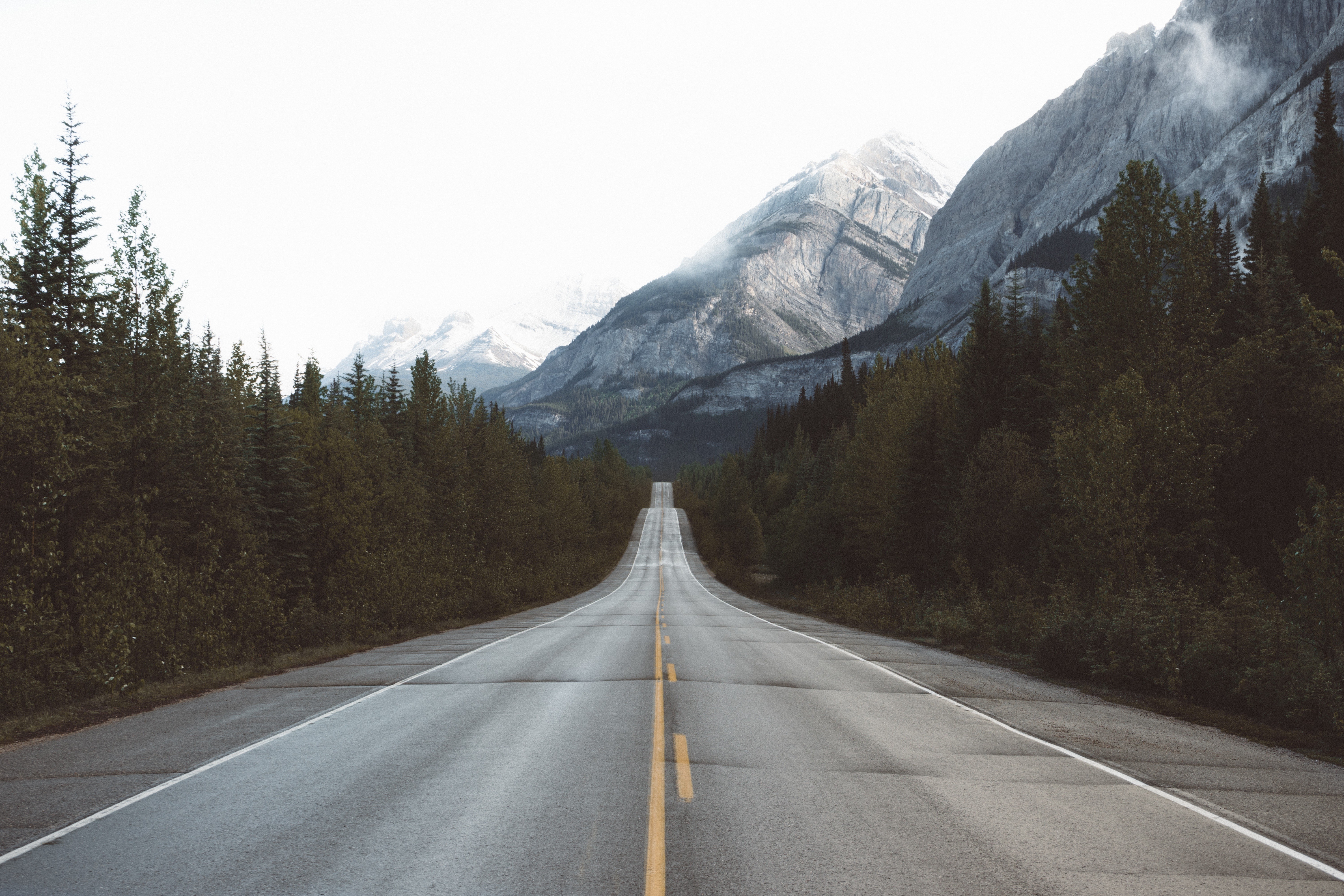 A long, empty road leading to misty mountains and pine trees HD Wallpaper