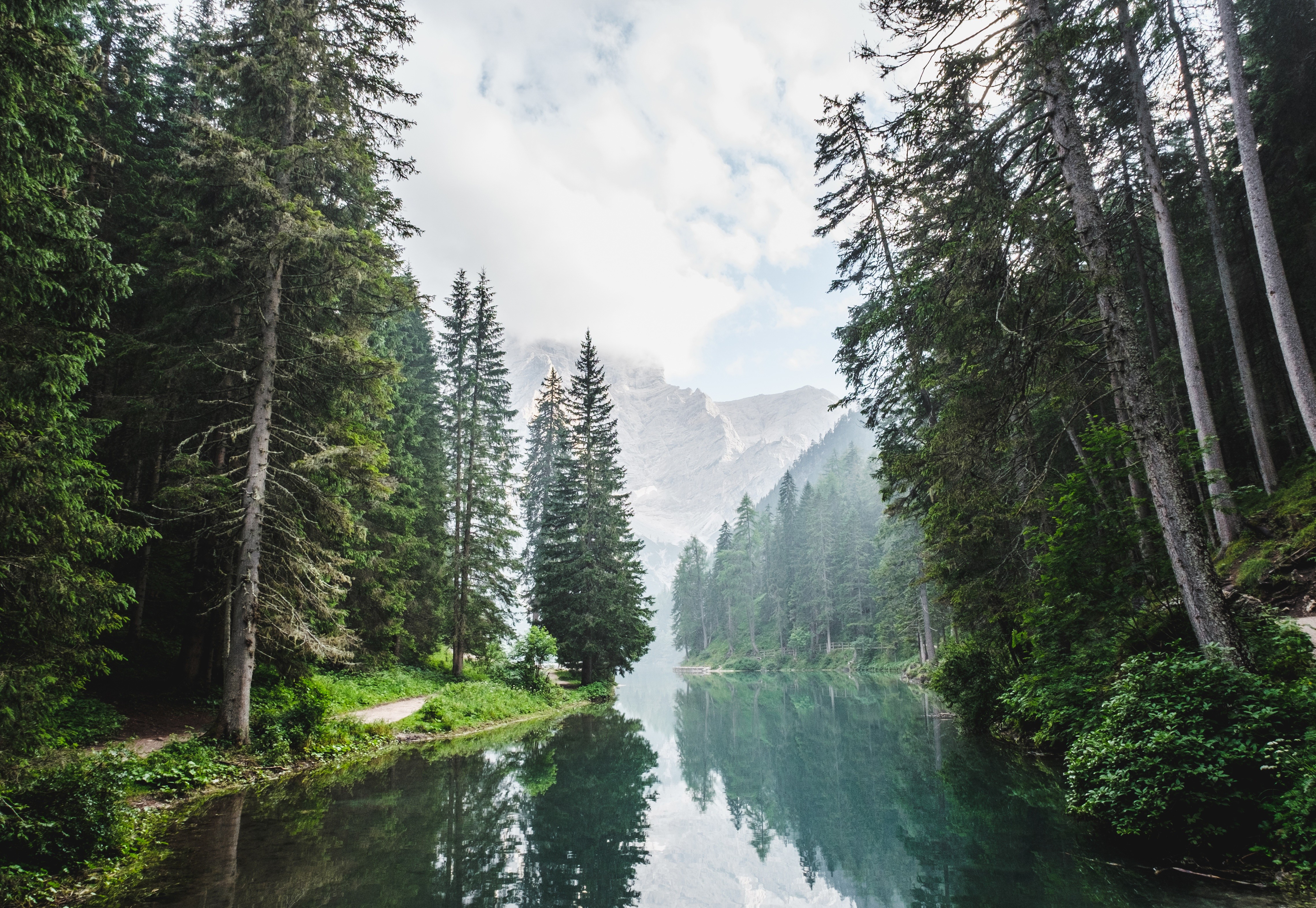 Lake and mountains surrounded by pine trees HD Wallpaper