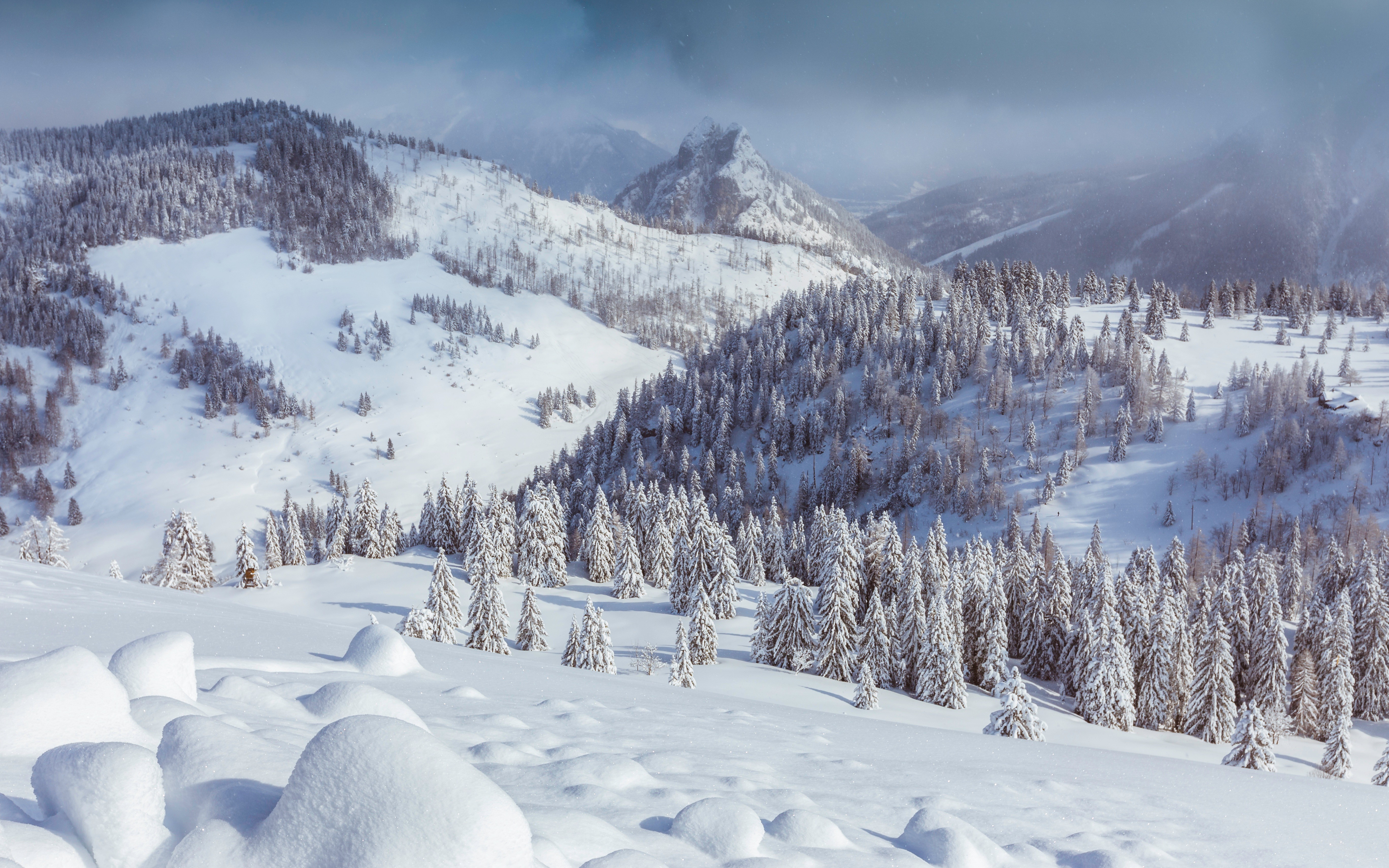 Snowy mountains with pine trees and a cloudy sky HD Wallpaper