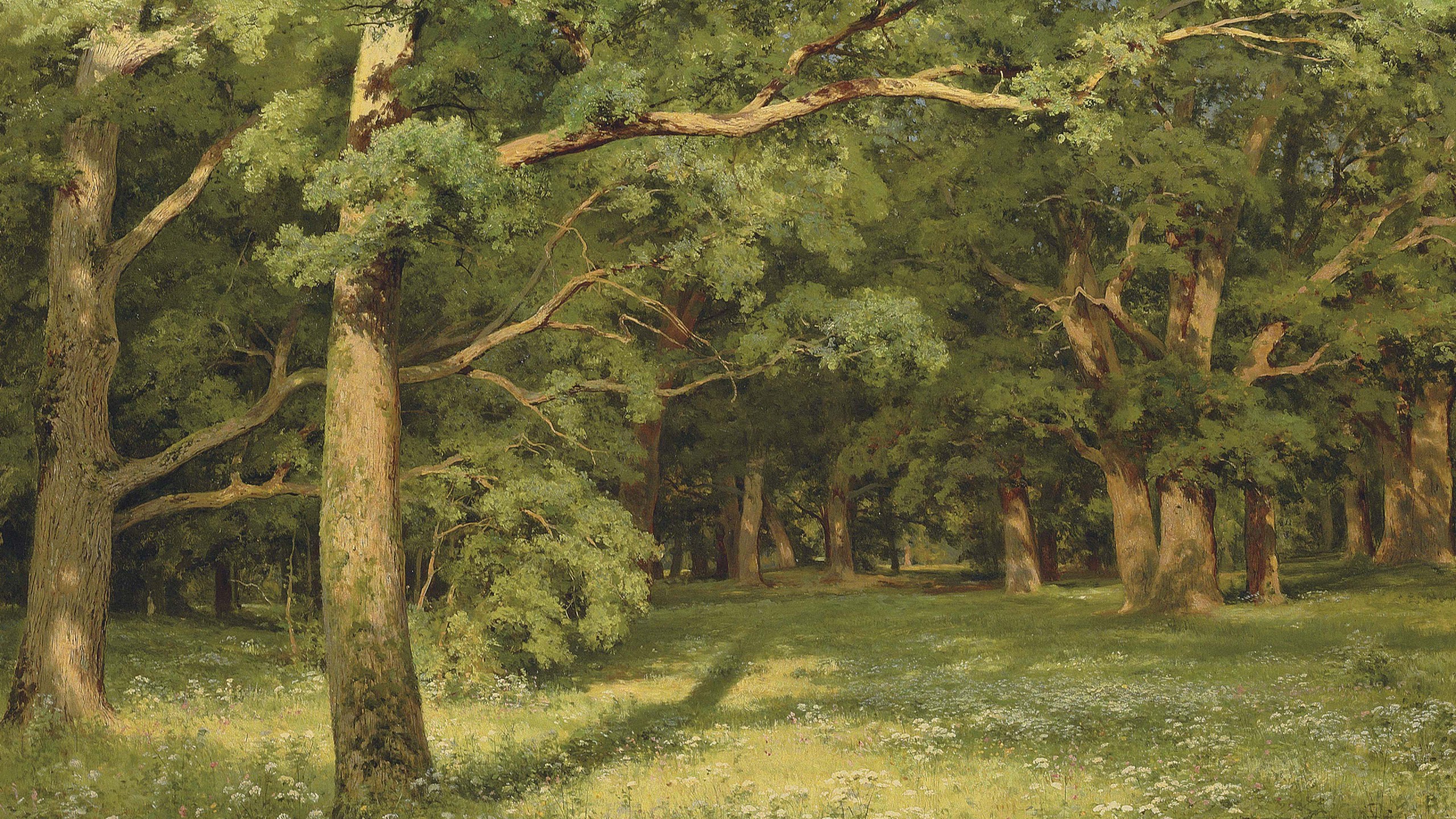 Painting of a sunlit forest with oak trees HD Wallpaper