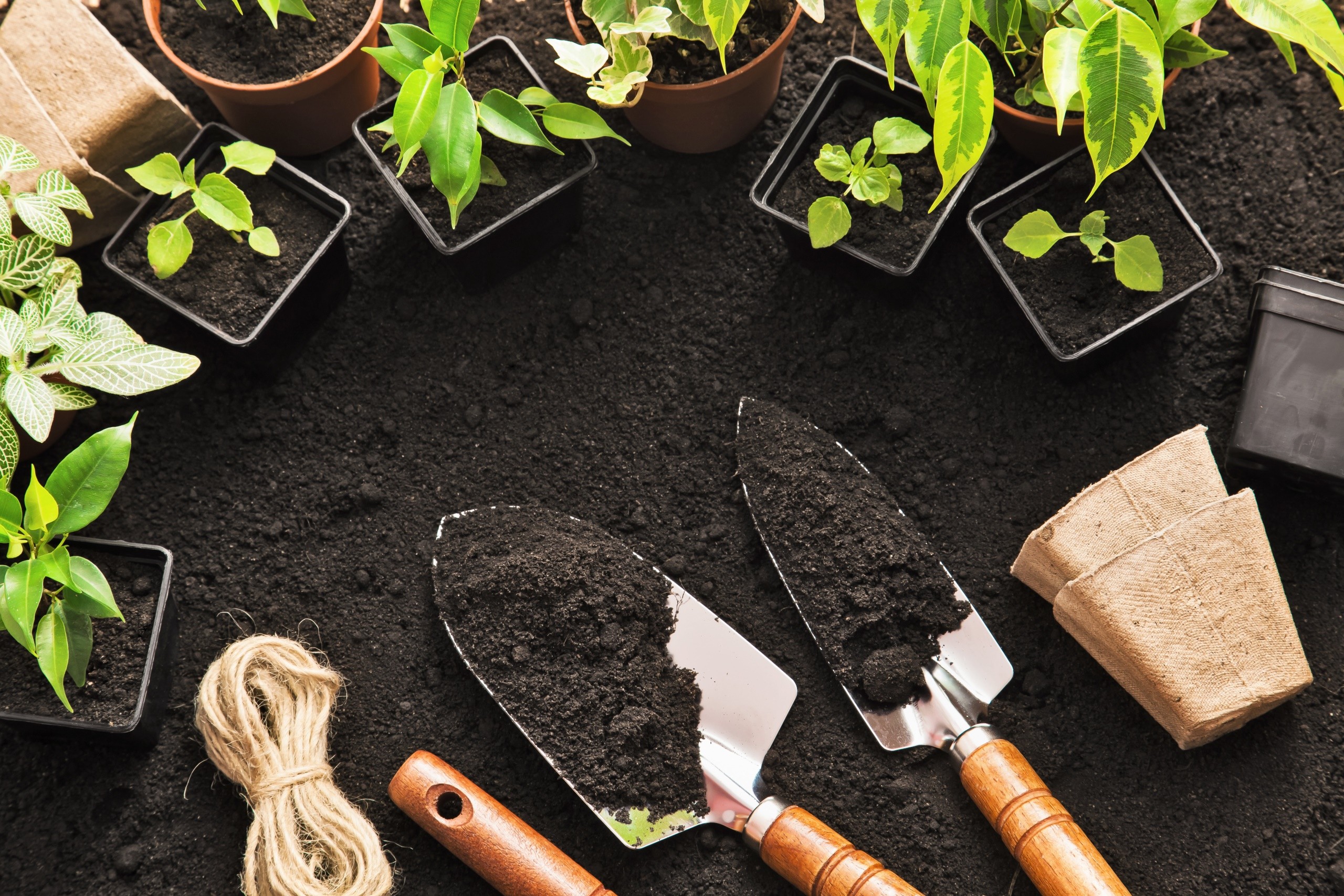 Gardening tools and plants on soil HD Wallpaper
