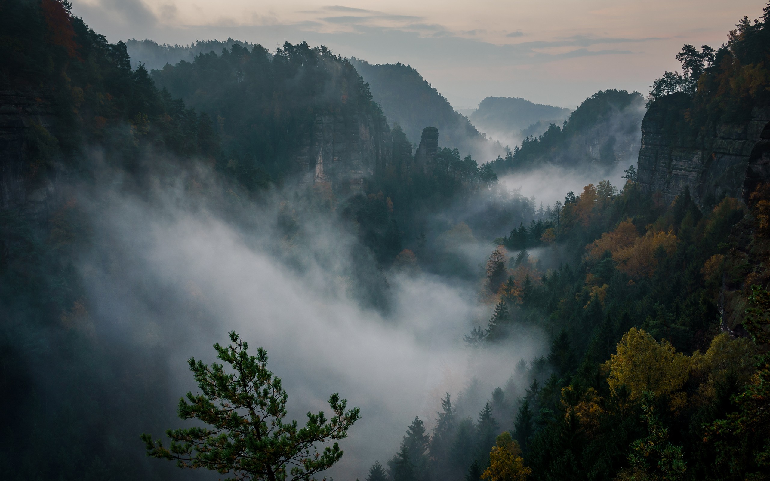 Misty Mountains and Forest Landscape by Philipp Zieger HD Wallpaper