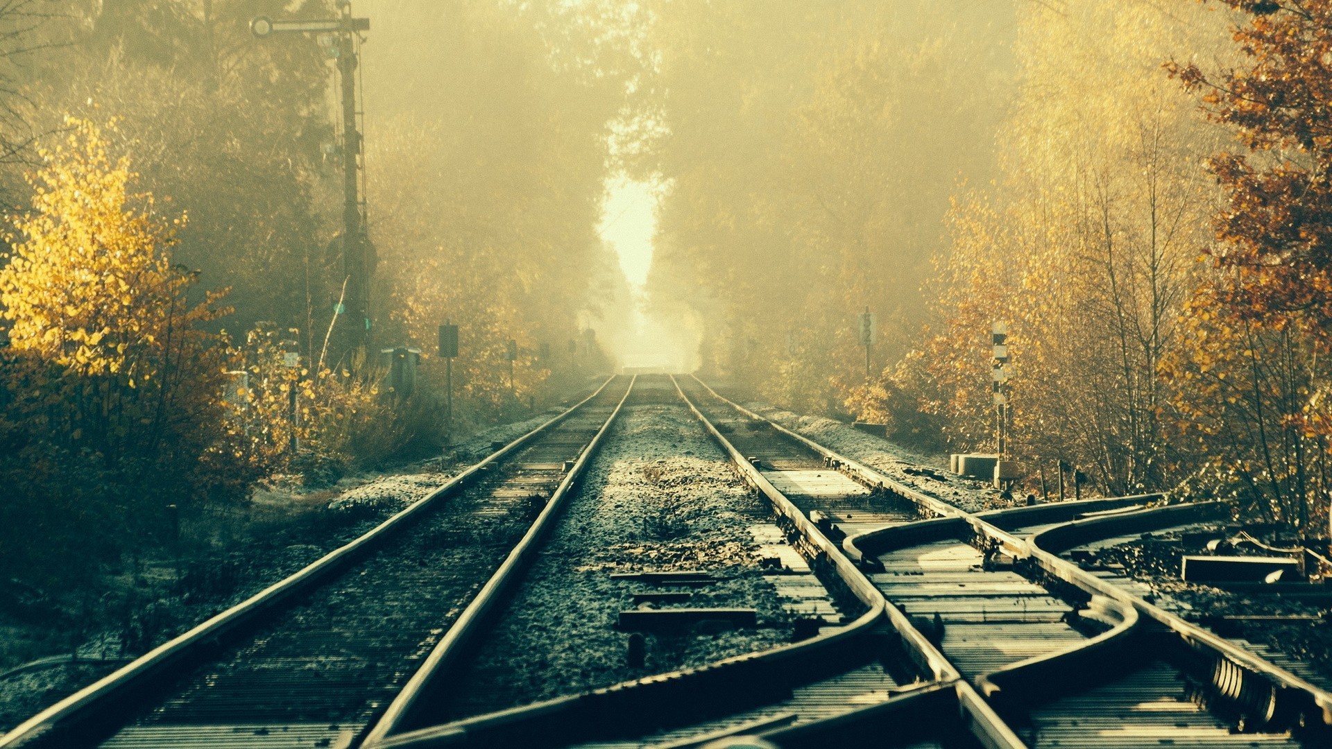 Train tracks in a foggy forest during autumn HD Wallpaper