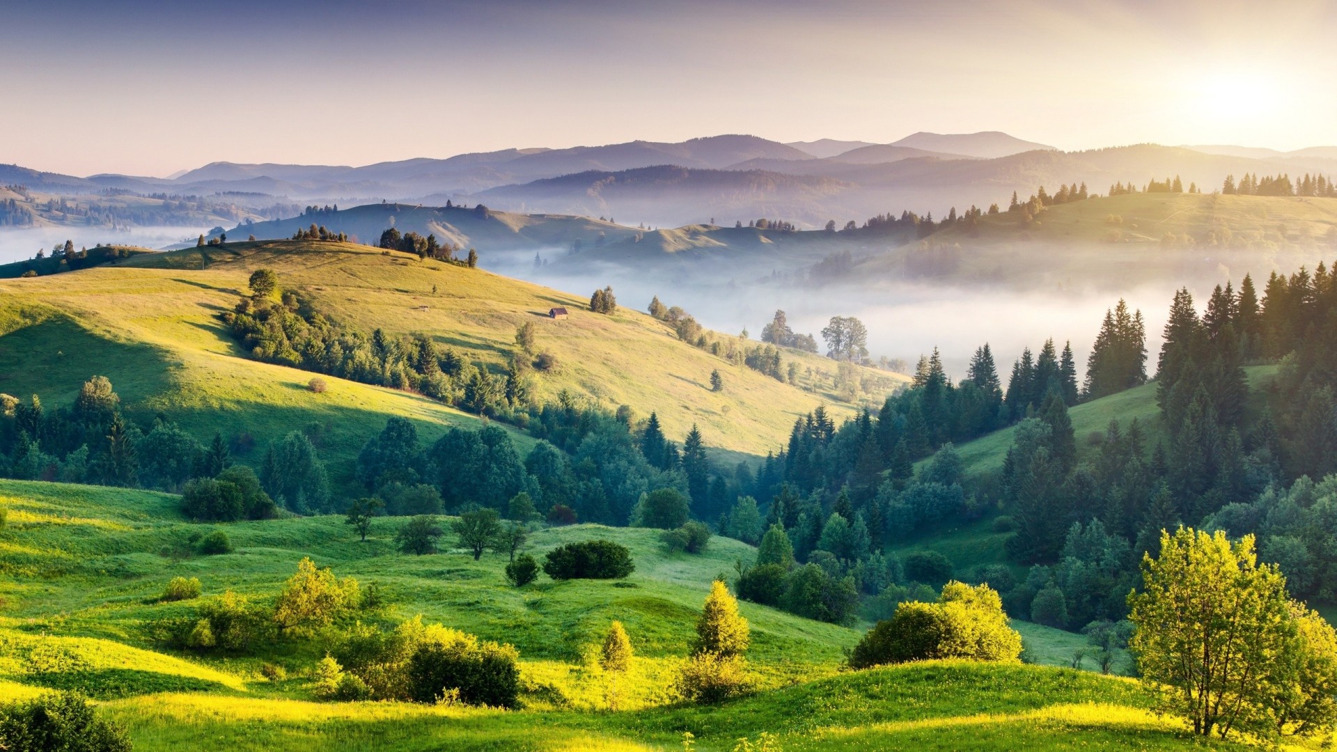 Misty mountains and rolling green hills at sunrise HD Wallpaper
