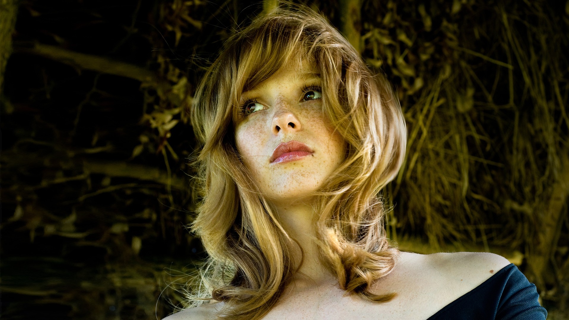 Woman with freckles looking away HD Wallpaper