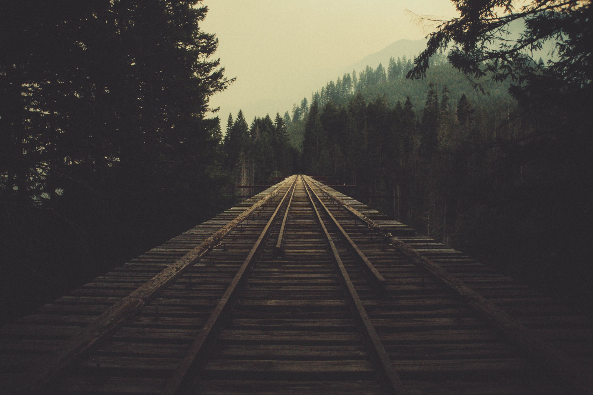 Train tracks on a wooden bridge through a forest HD Wallpaper
