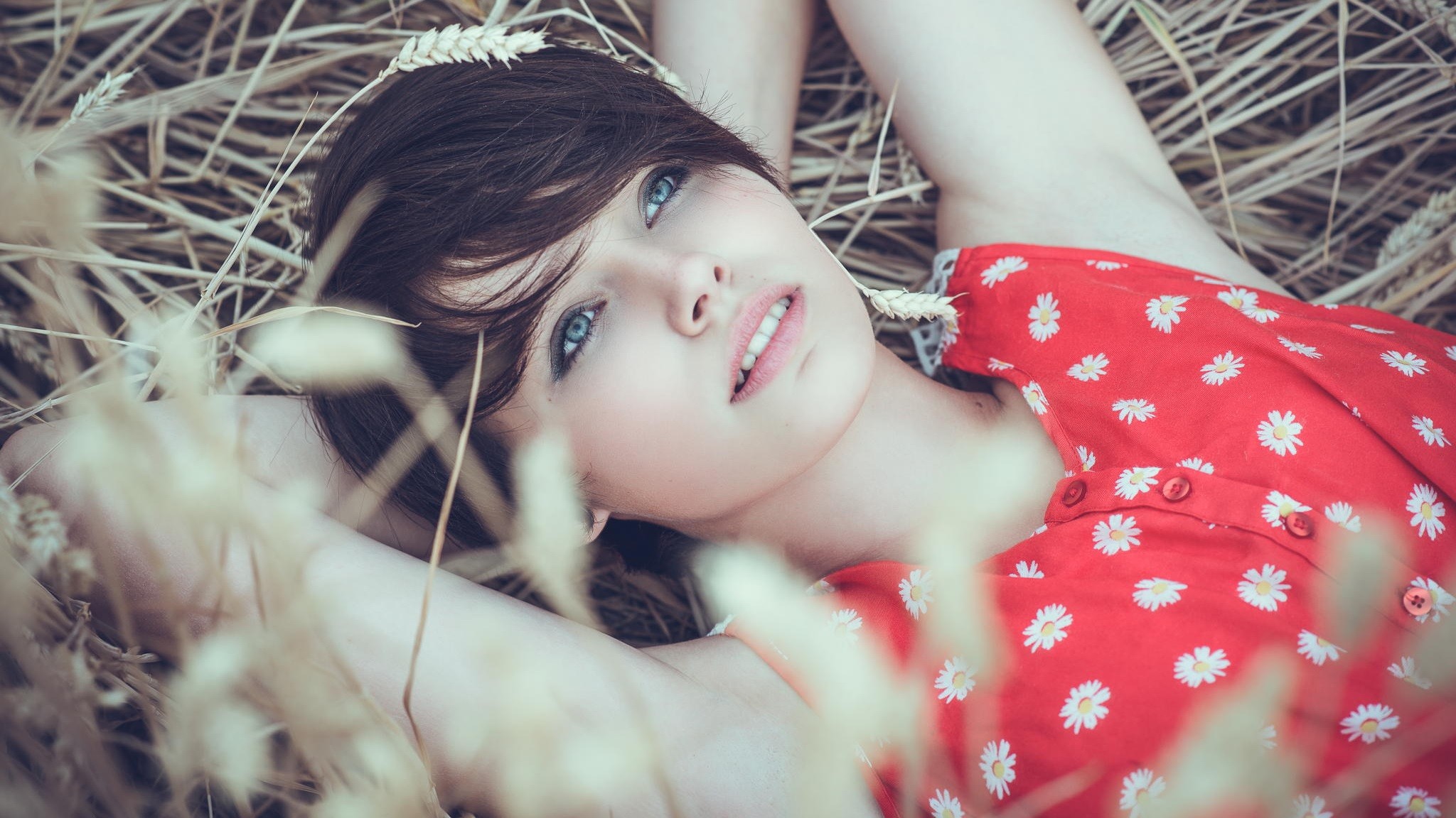 Woman with blue eyes lying in a wheat field HD Wallpaper