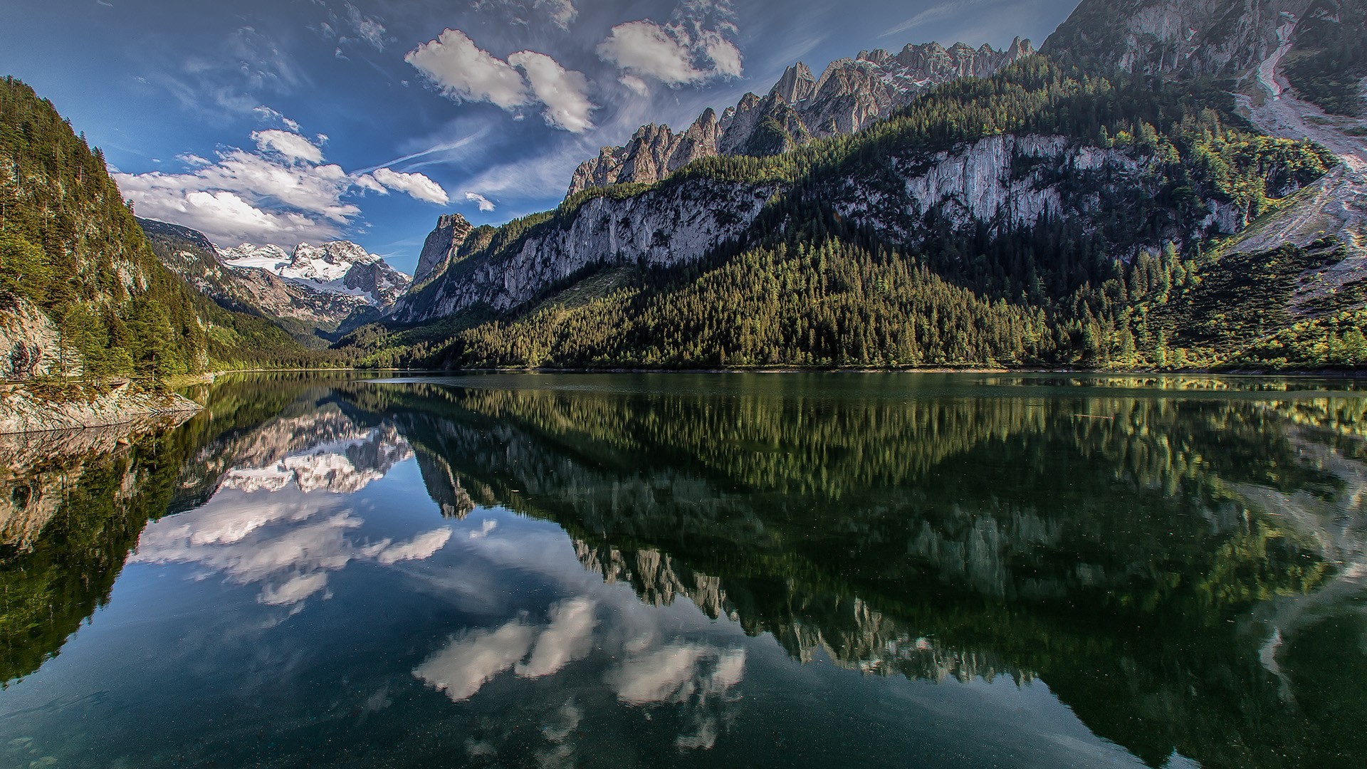 water, lake, pine trees HD Wallpaper