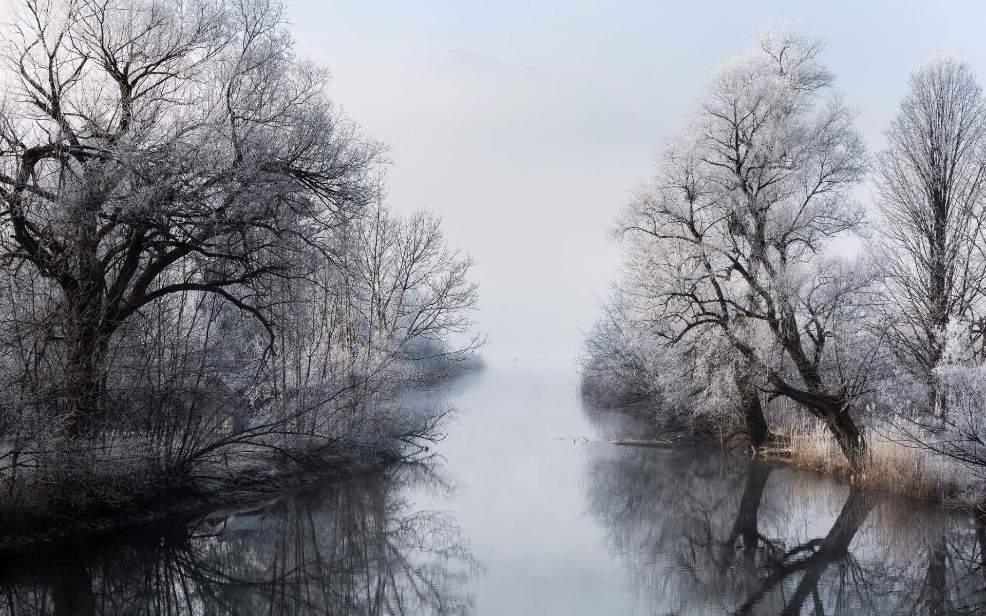 Frozen trees reflected in a misty river in winter HD Wallpaper