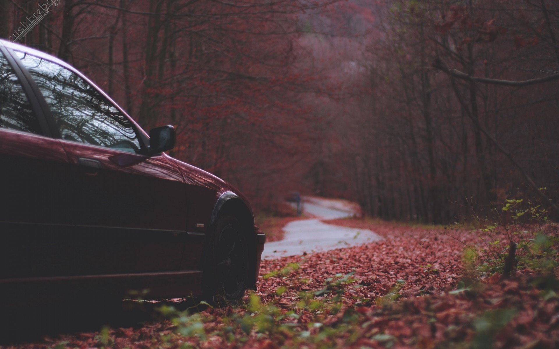 Red BMW car on a road in a fall forest HD Wallpaper