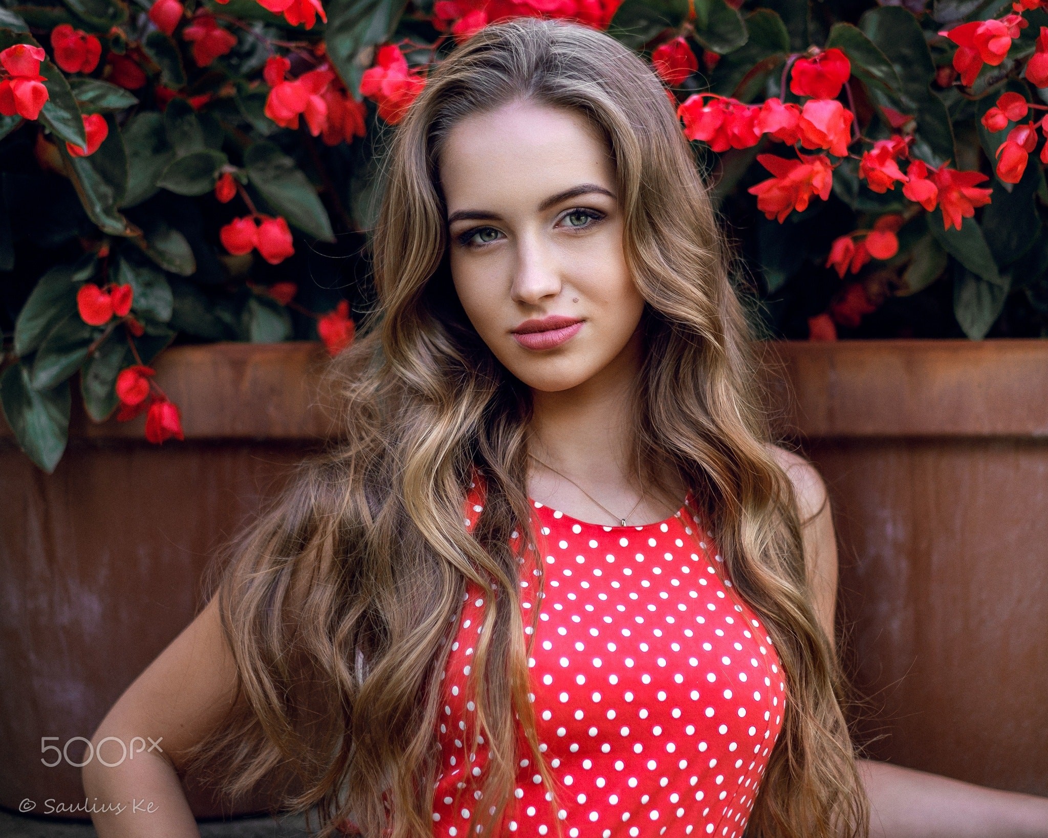 Woman in red polka dot dress with flowers HD Wallpaper