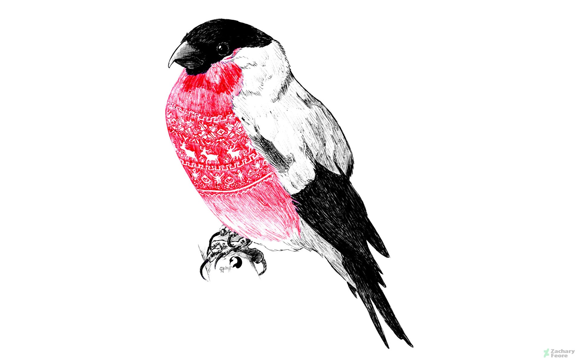 Bullfinch wearing a red patterned sweater HD Wallpaper