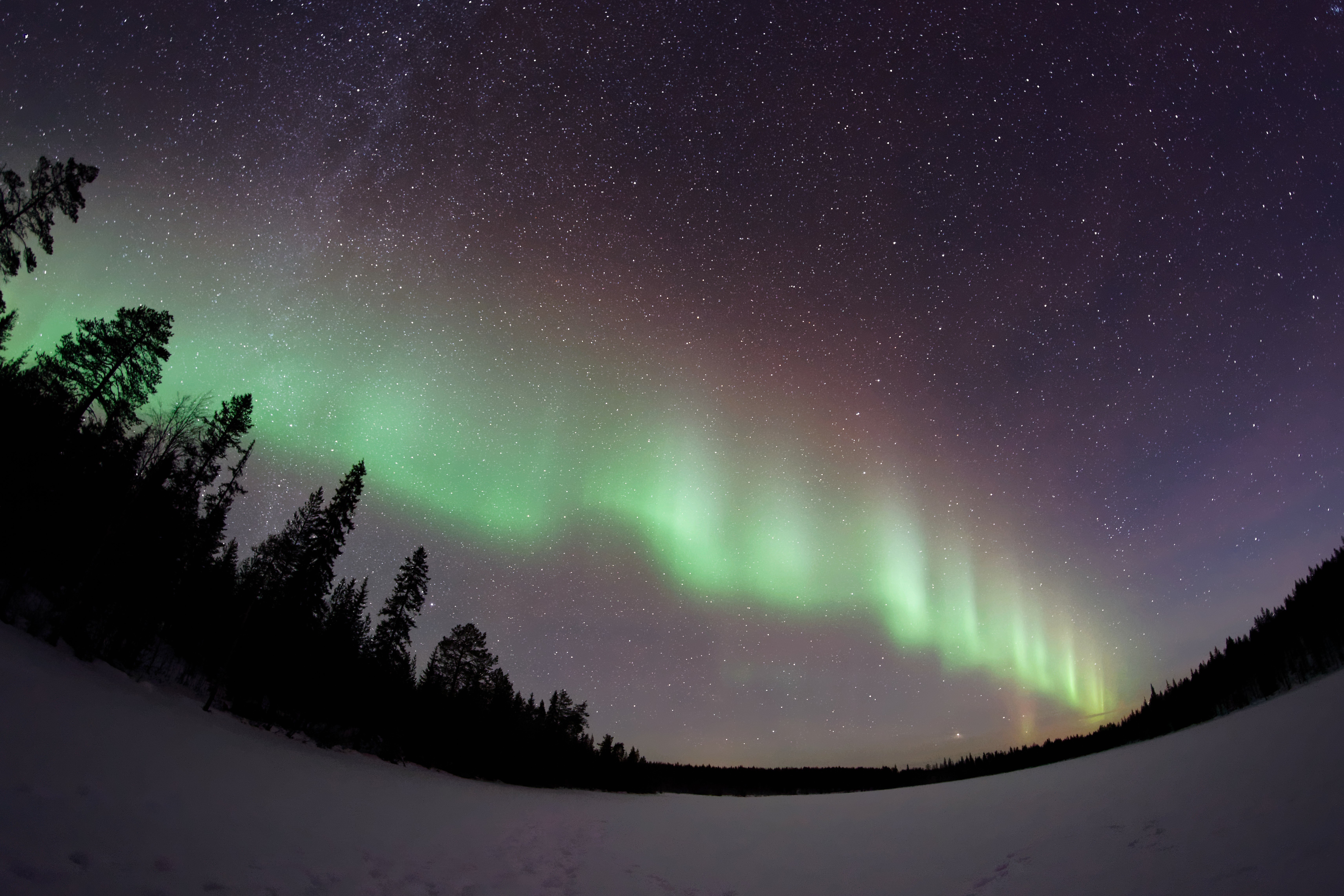 Aurora Borealis over a snowy forest and starry sky HD Wallpaper
