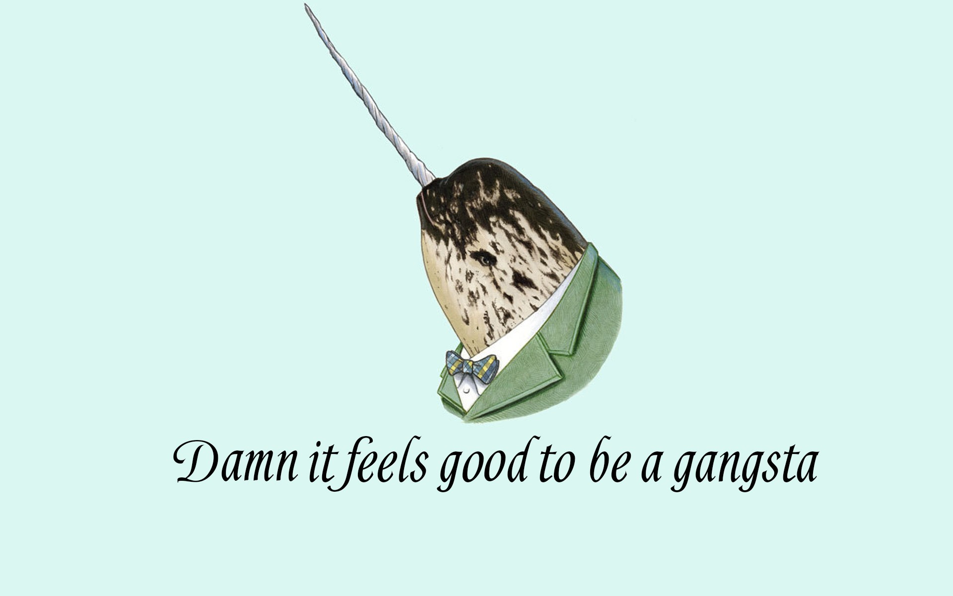 Narwhal in a suit with a quote HD Wallpaper