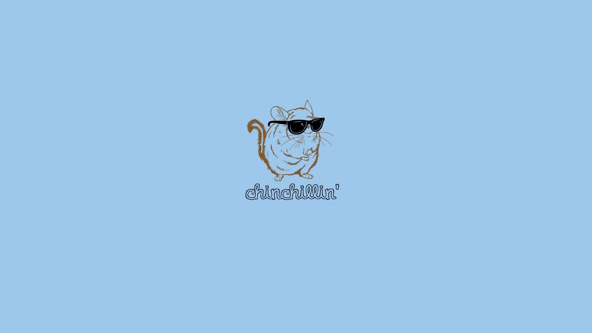 Chinchilla wearing sunglasses with text HD Wallpaper