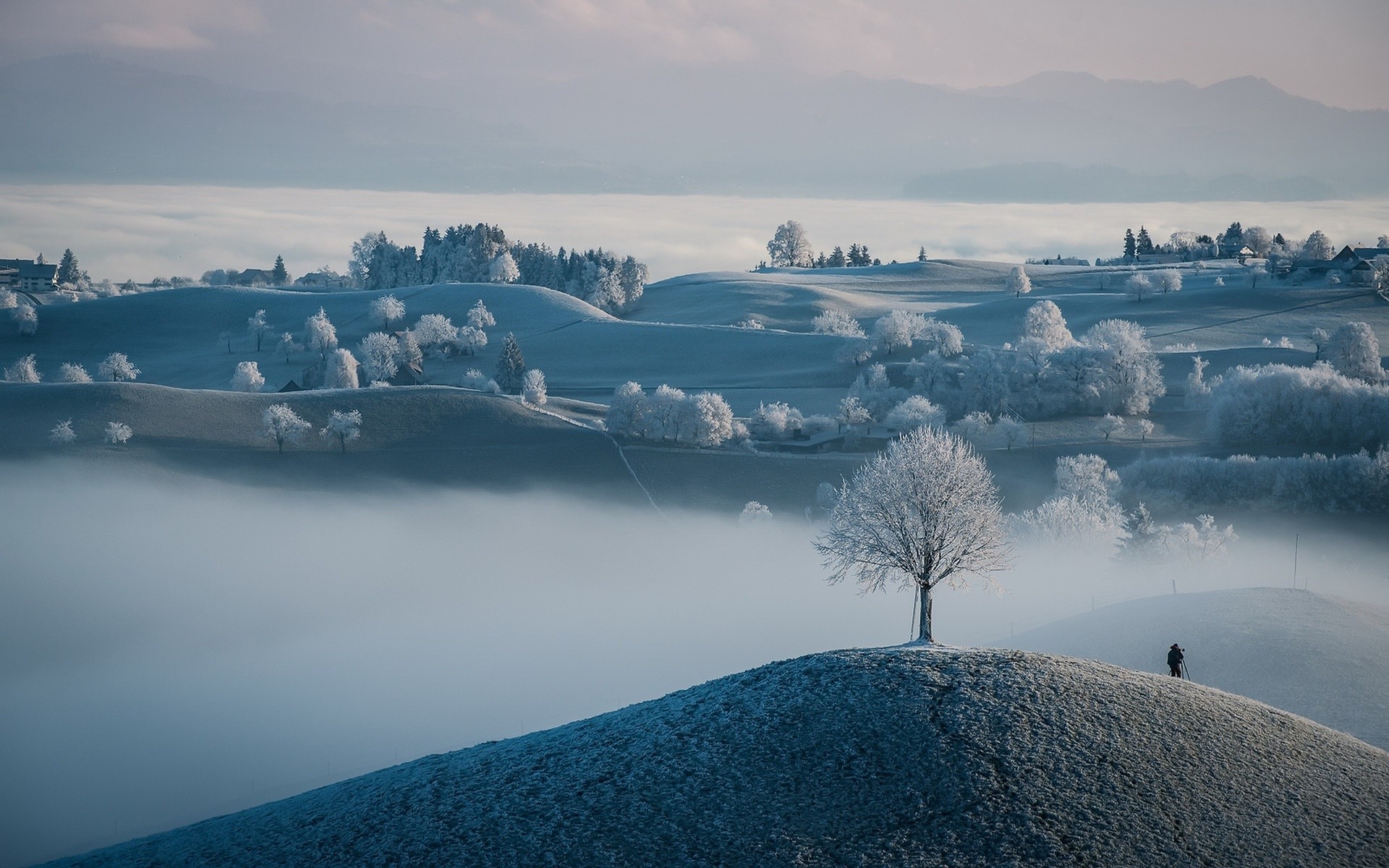 Winter landscape with frosted trees and fog HD Wallpaper