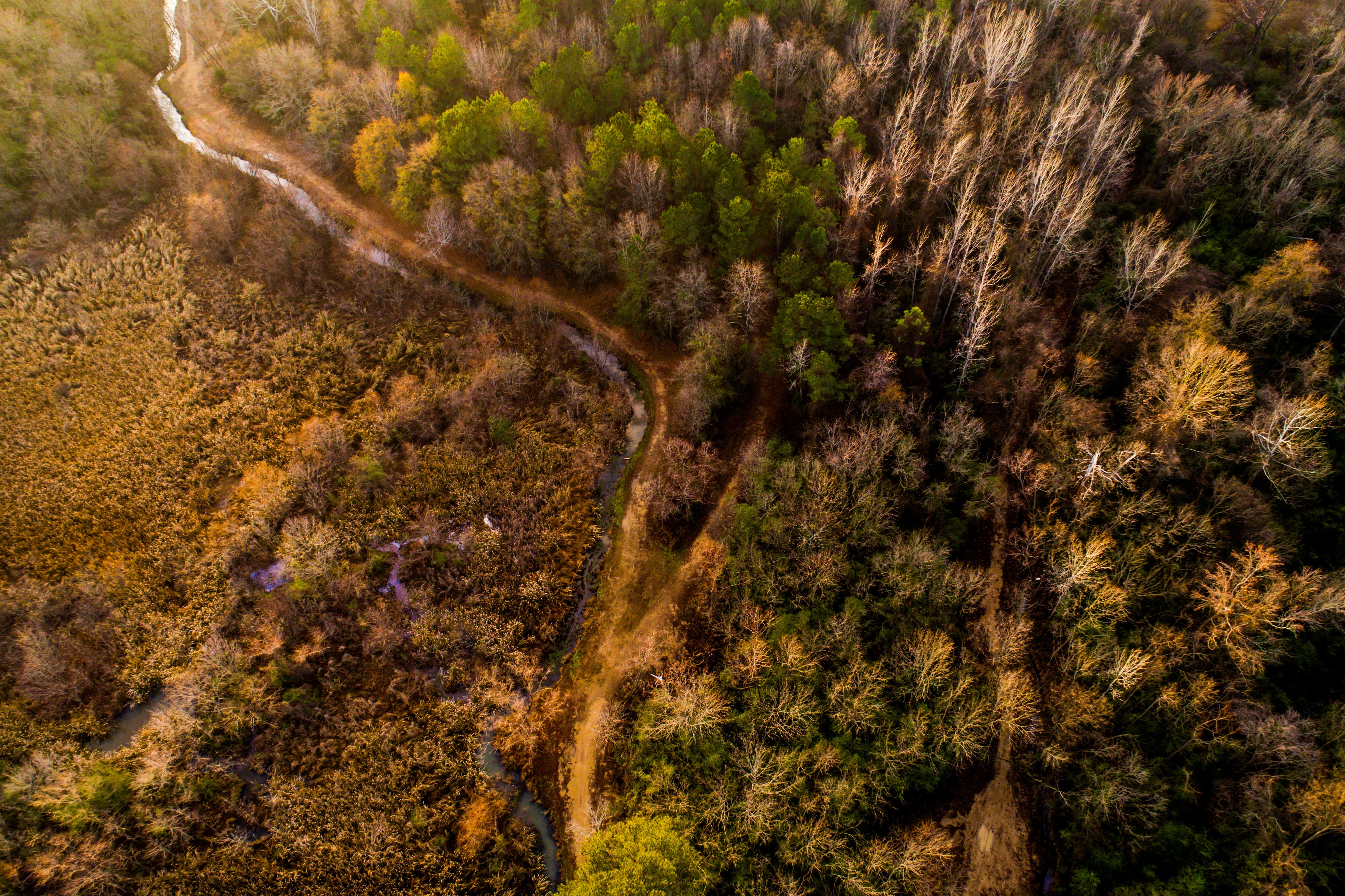 Aerial view of a forest and river in autumn HD Wallpaper