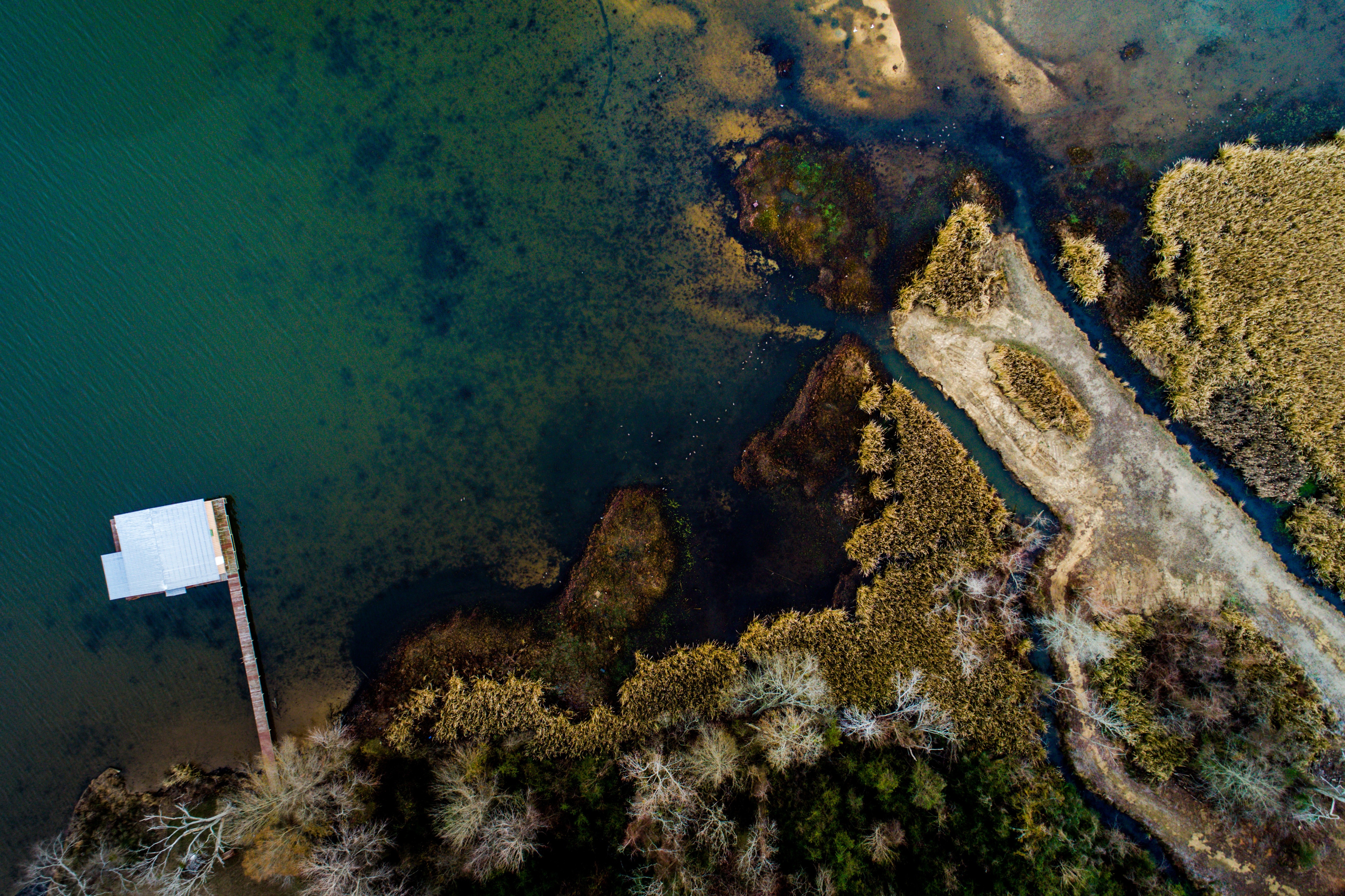 Aerial view of a pier and marshland with trees HD Wallpaper