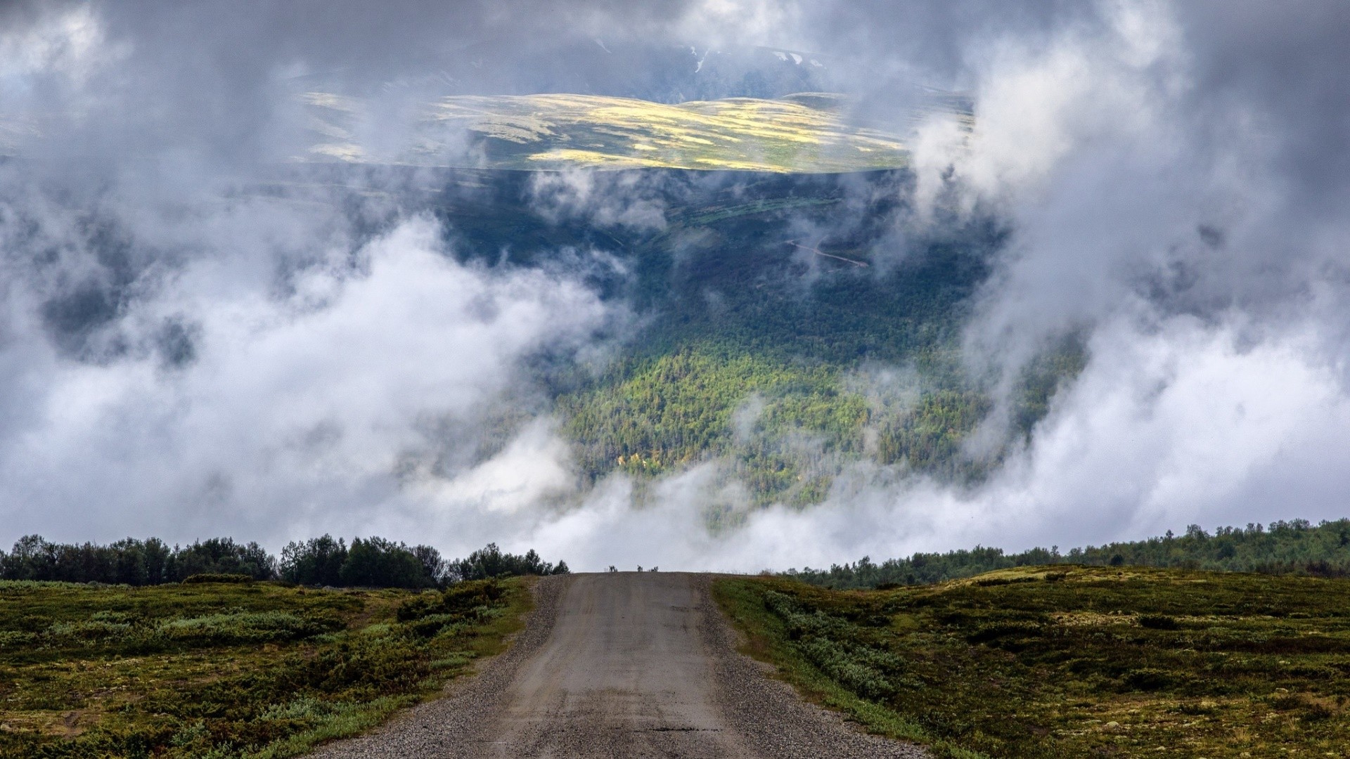 Road through a misty landscape in the Scottish Highlands HD Wallpaper