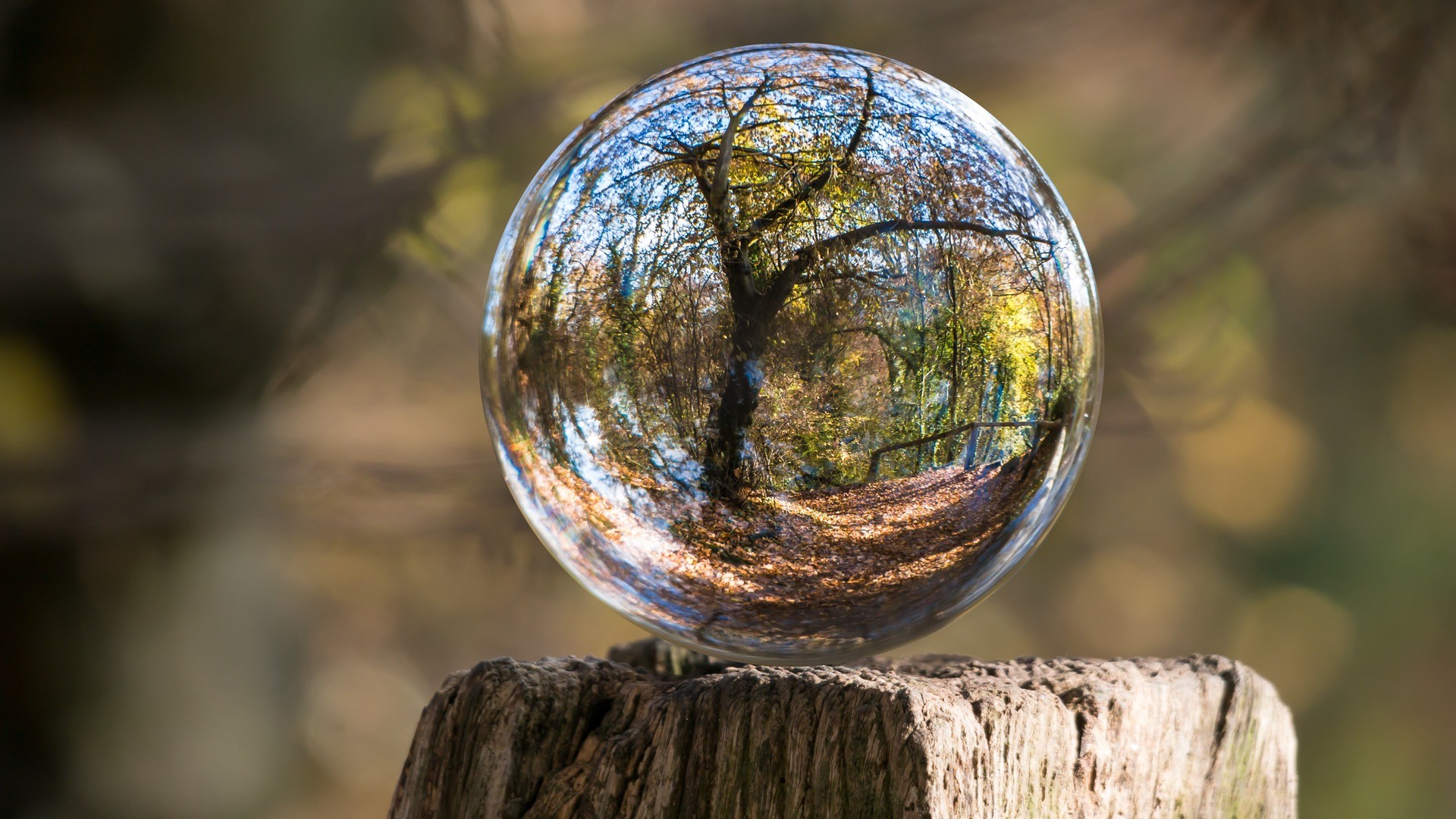 Glass sphere reflecting autumn forest on wooden post HD Wallpaper