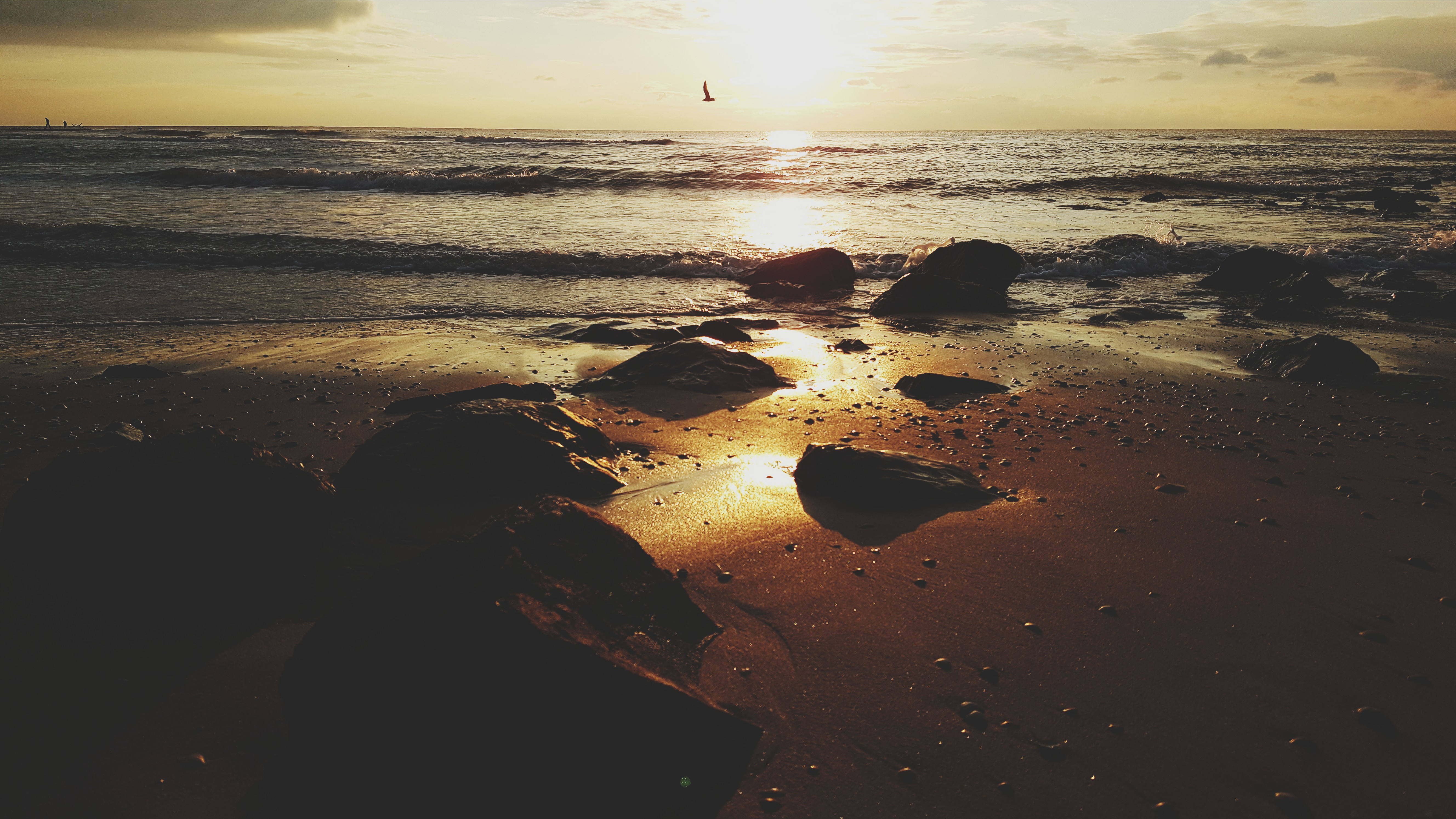 Beach with rocks and ocean at sunset HD Wallpaper