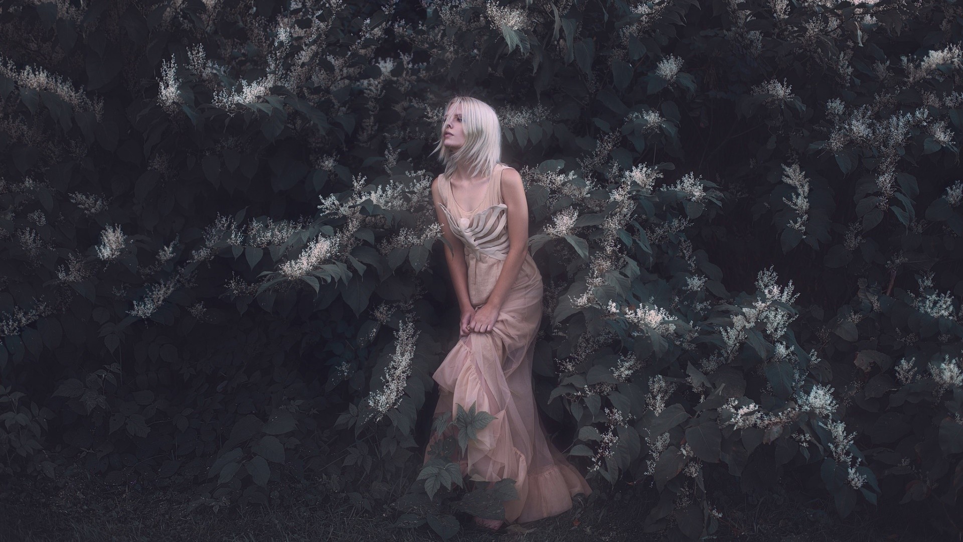 Woman in a flowing dress among white flowers HD Wallpaper