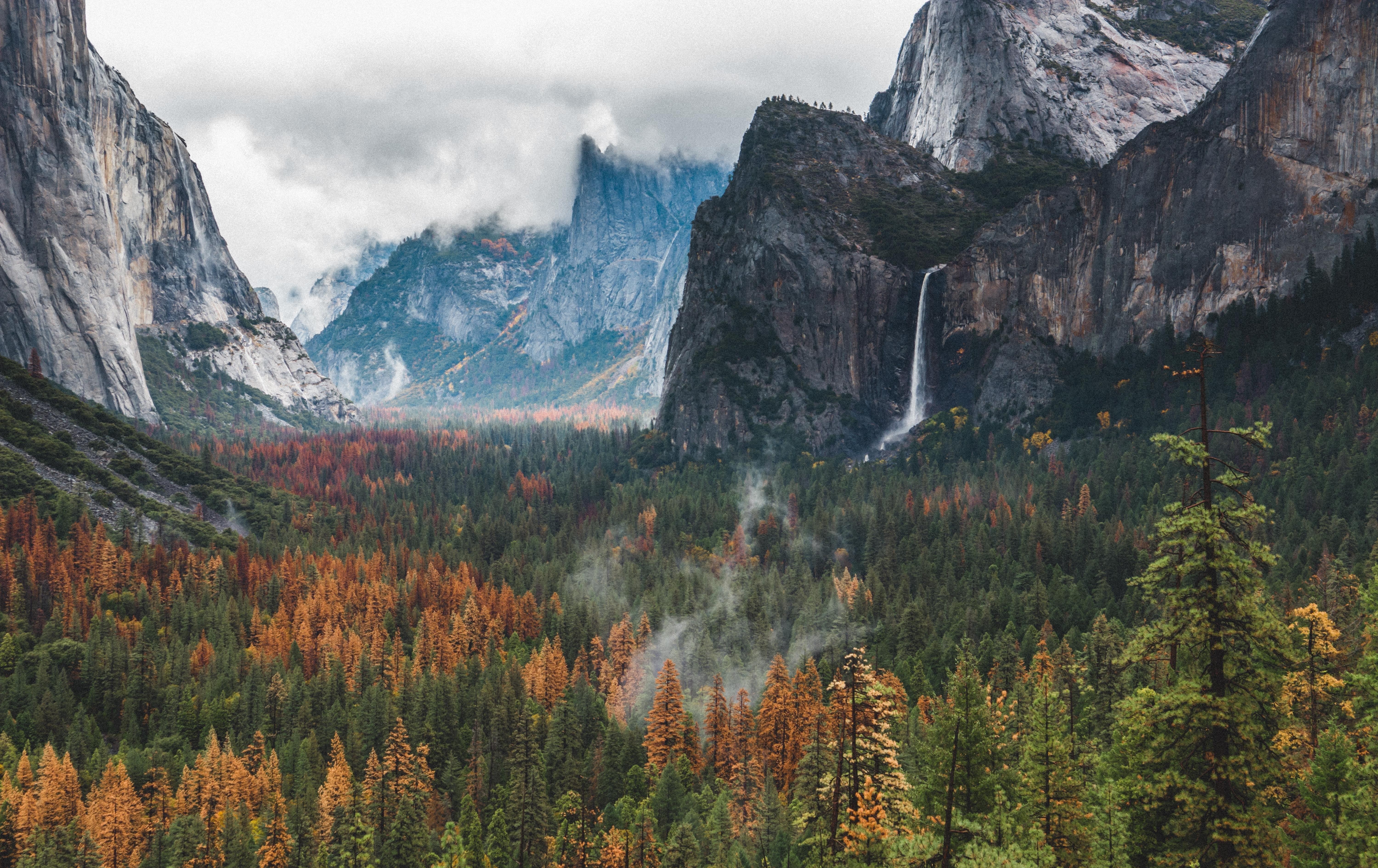 Yosemite National Park mountains and forest HD Wallpaper