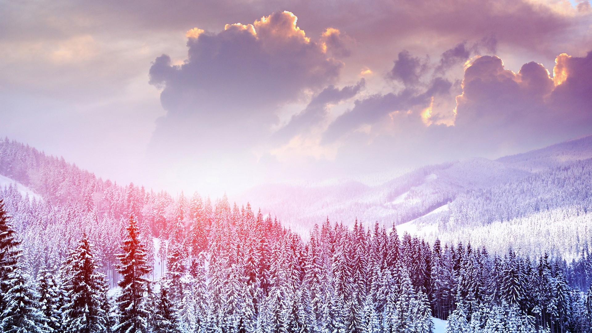 Snow-covered mountains and pine forest at sunset HD Wallpaper