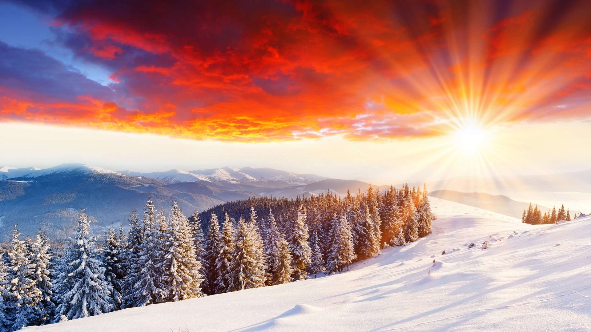 Winter sunrise over snow-covered mountains and pine forest HD Wallpaper