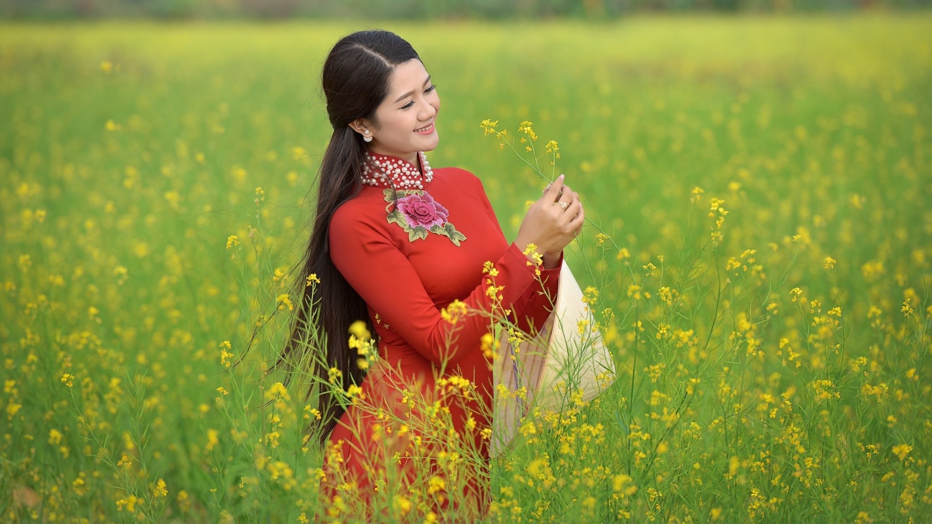 Woman in red Áo dài in a field of yellow flowers HD Wallpaper