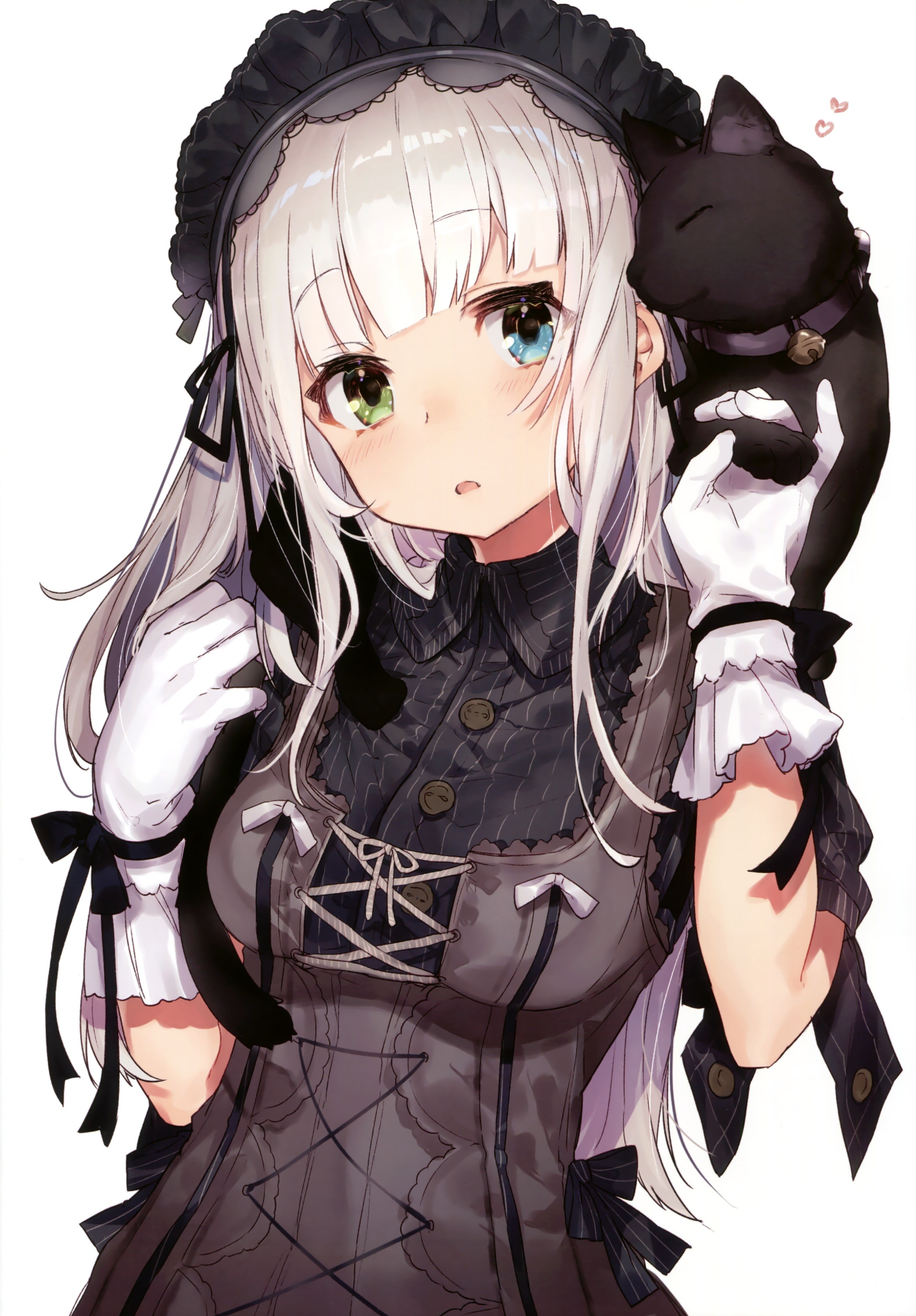 Anime girl with gray hair and heterochromia holding a black cat HD Wallpaper