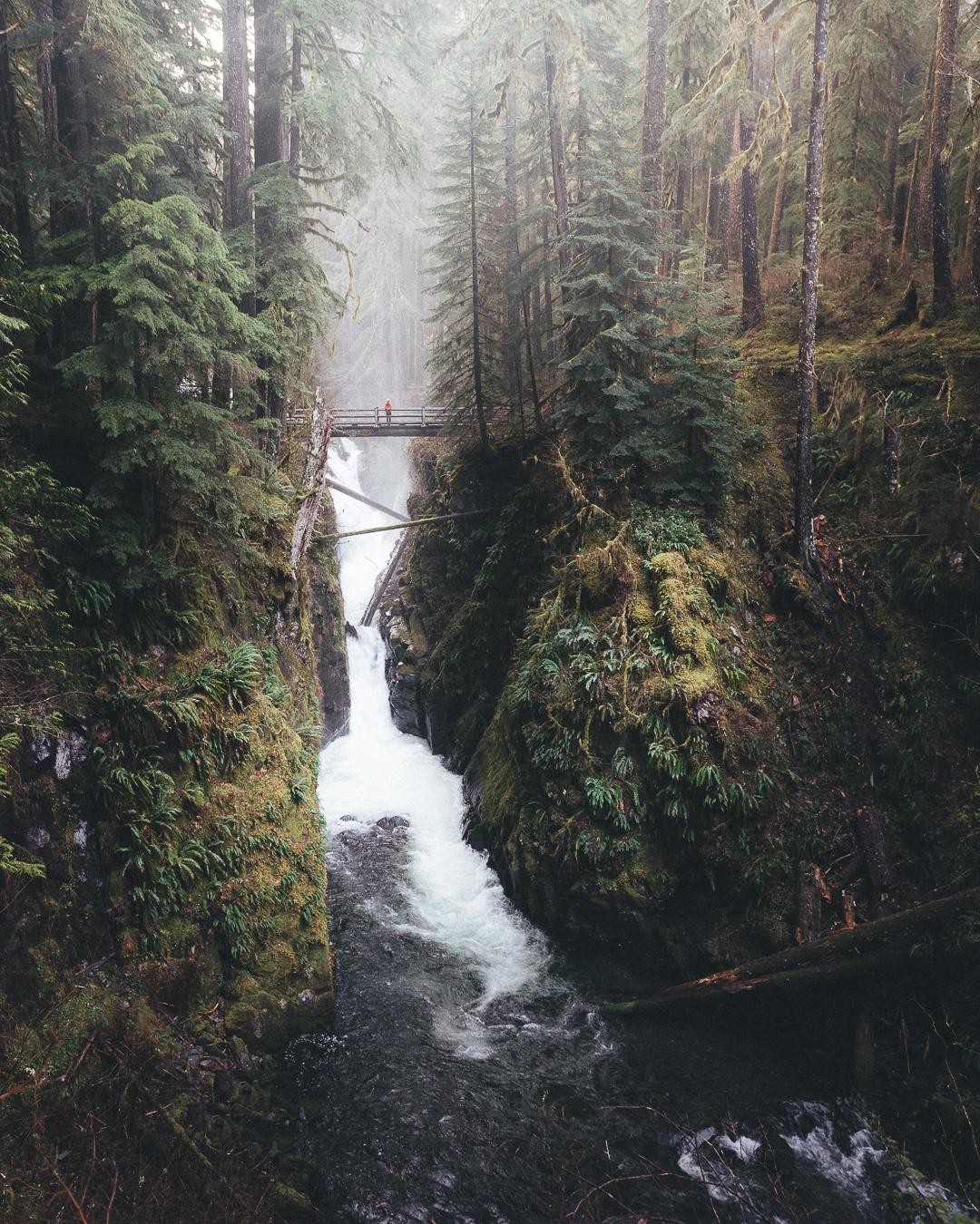 Waterfall in a lush green forest with a bridge HD Wallpaper