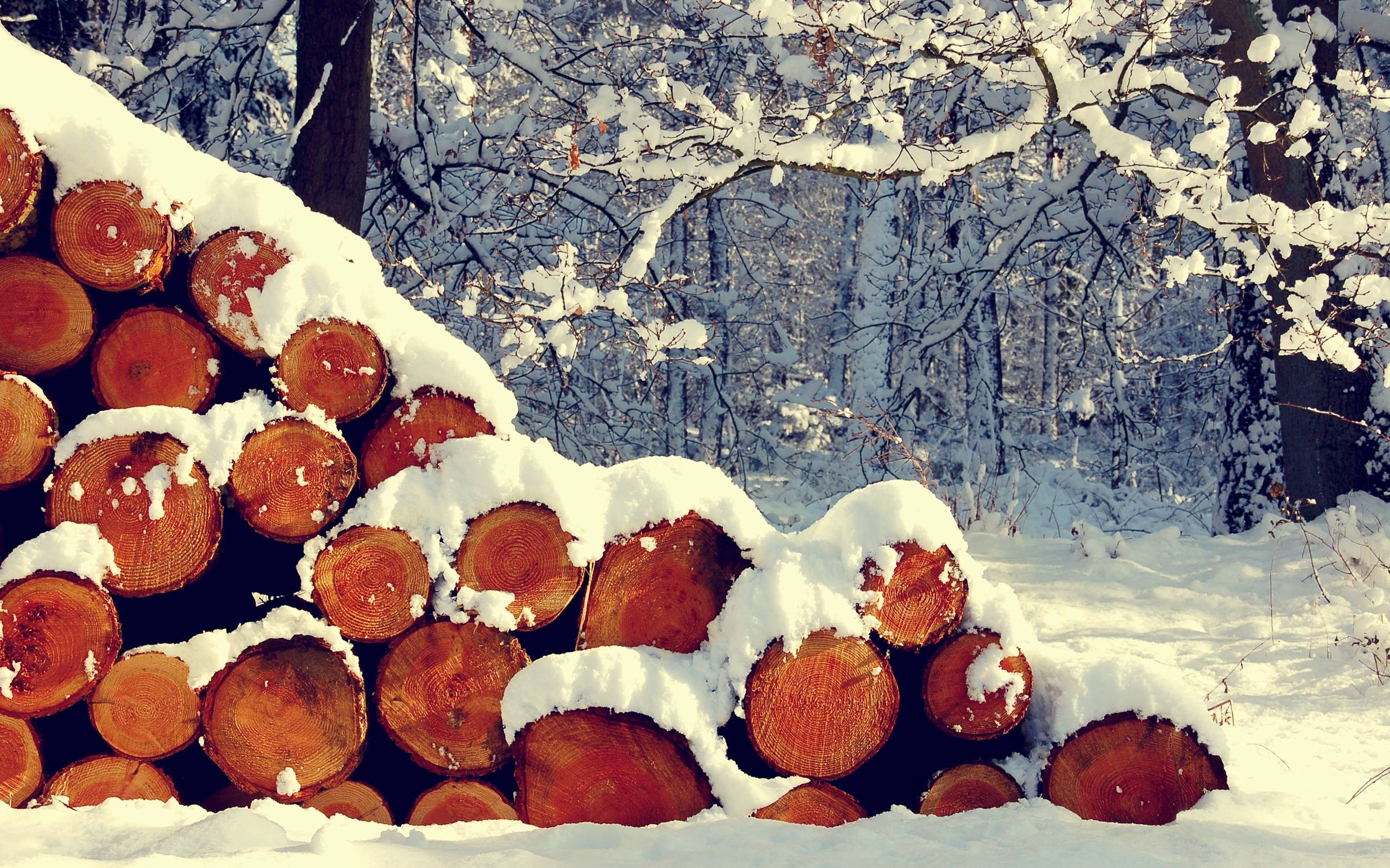 Logs covered in snow in a winter forest HD Wallpaper