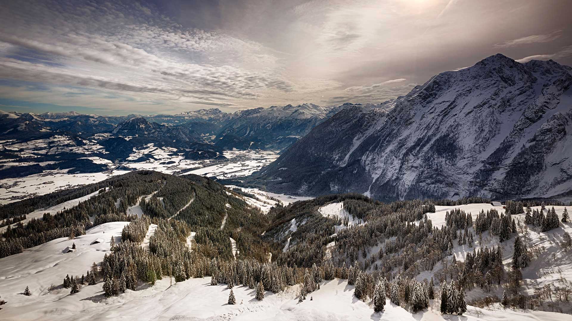 Snowy mountains and pine trees landscape HD Wallpaper