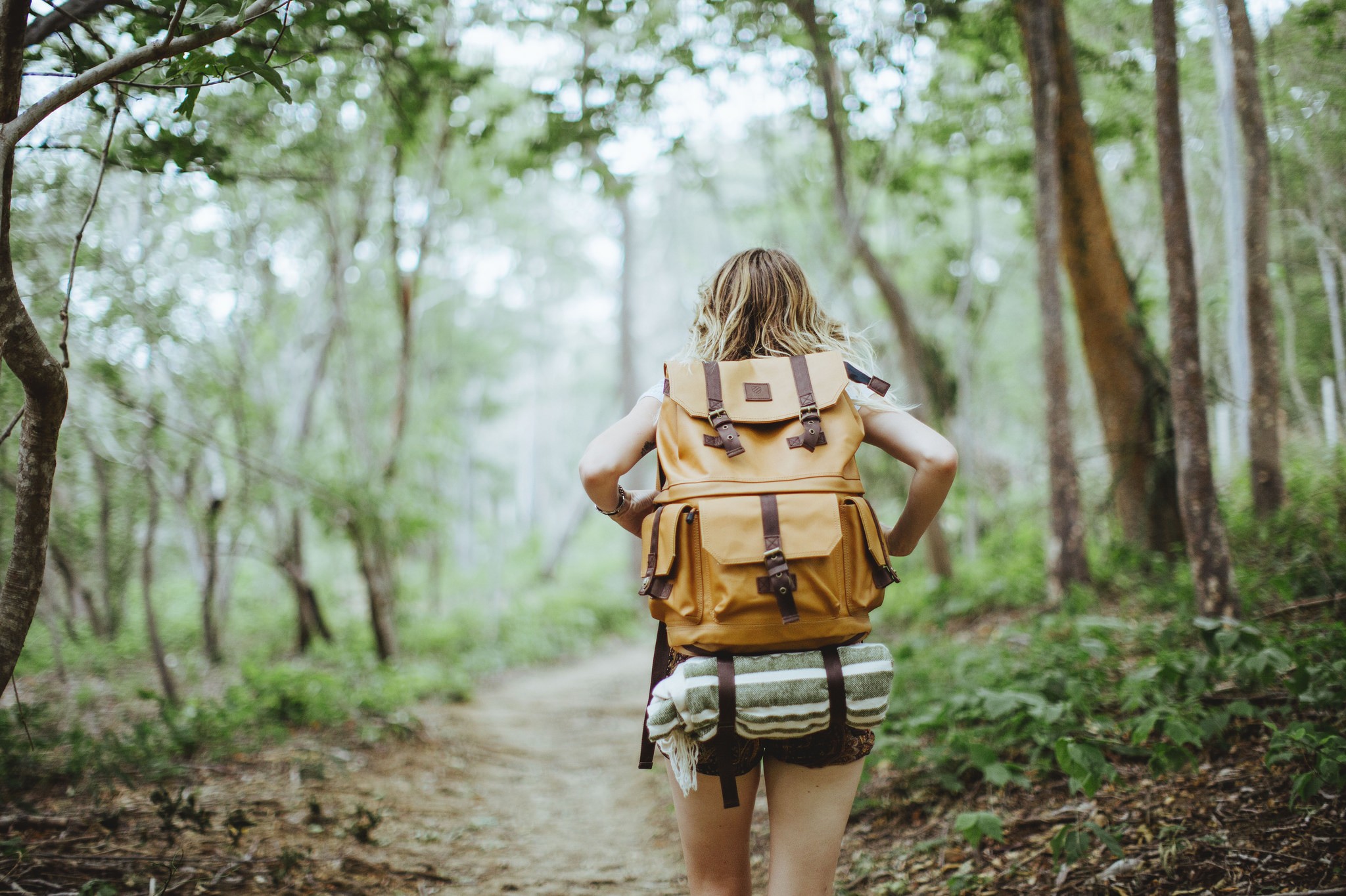 Woman with backpack hiking on a forest path HD Wallpaper