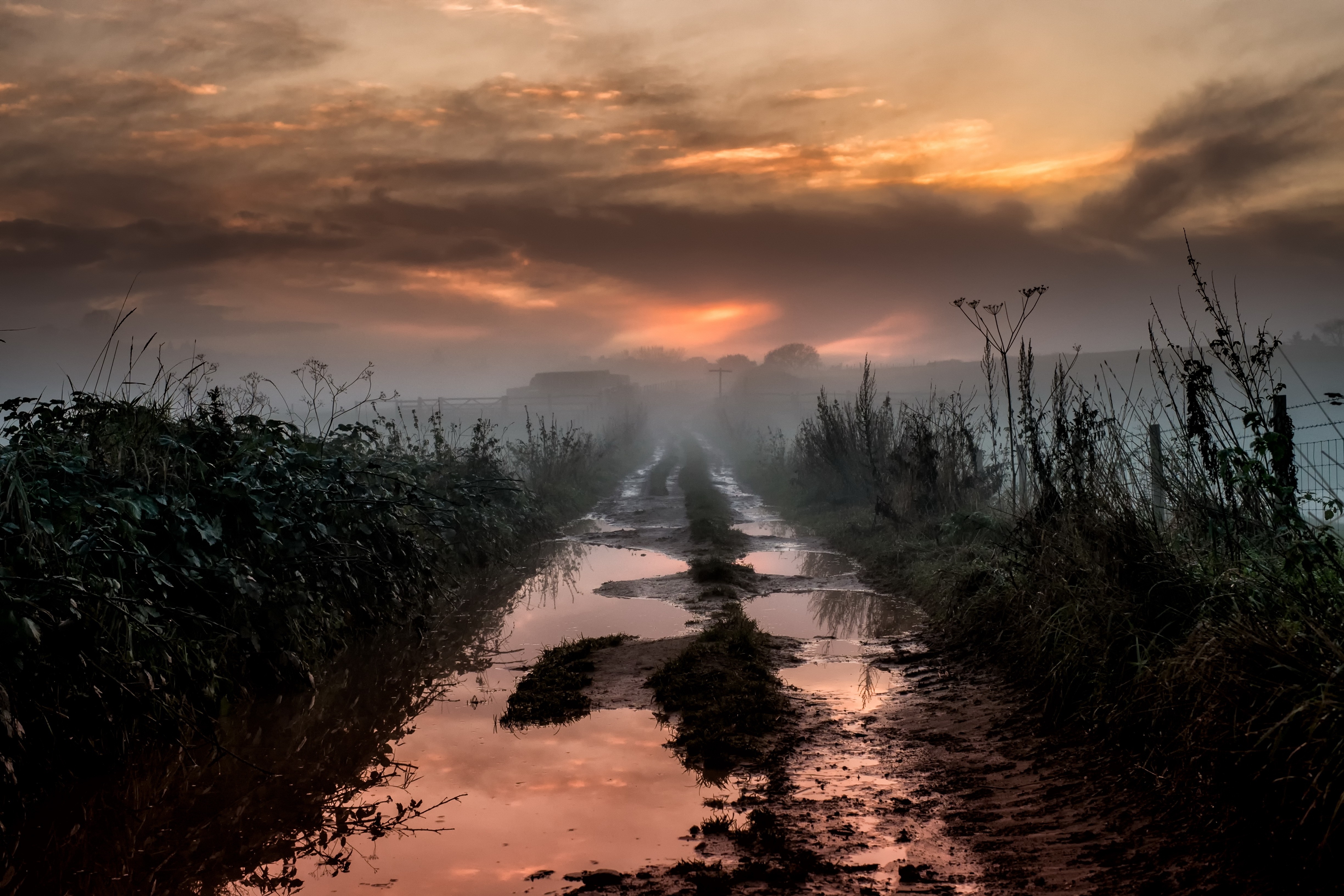 Muddy track with puddles at sunrise HD Wallpaper