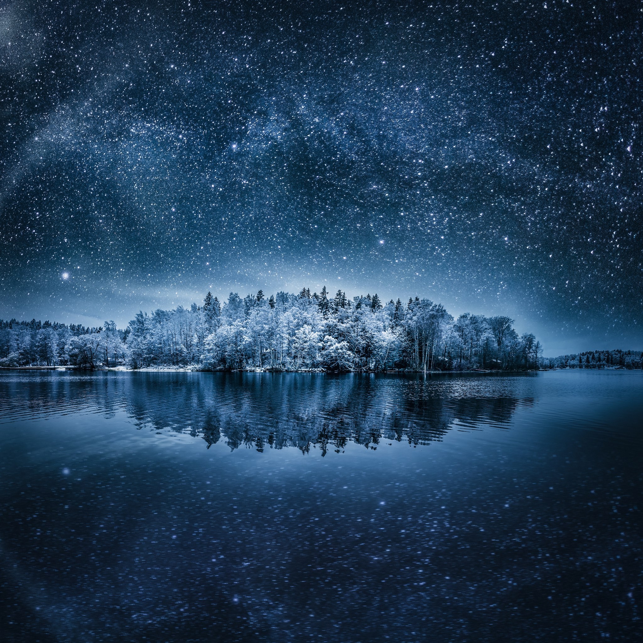 Winter forest reflected in a lake under the starry night sky HD Wallpaper